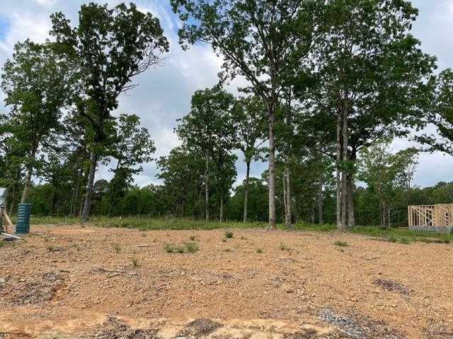  Orchard Hill Lot 2 Ph 2  Conway, AR