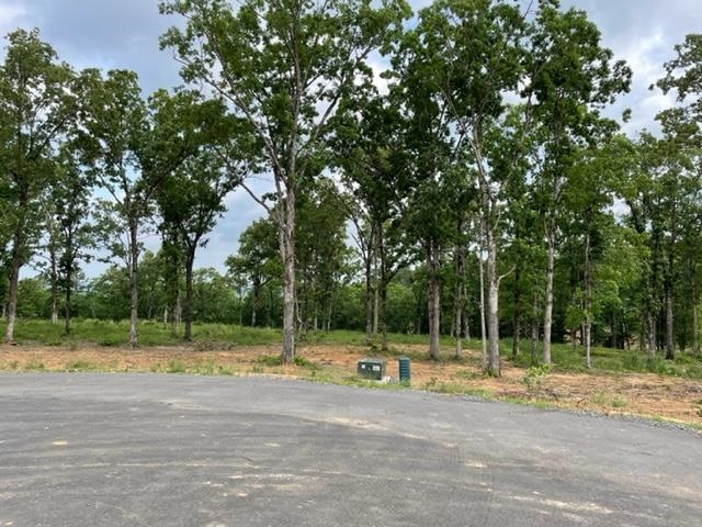  Orchard Hill Lot 8 Ph 3  Conway, AR