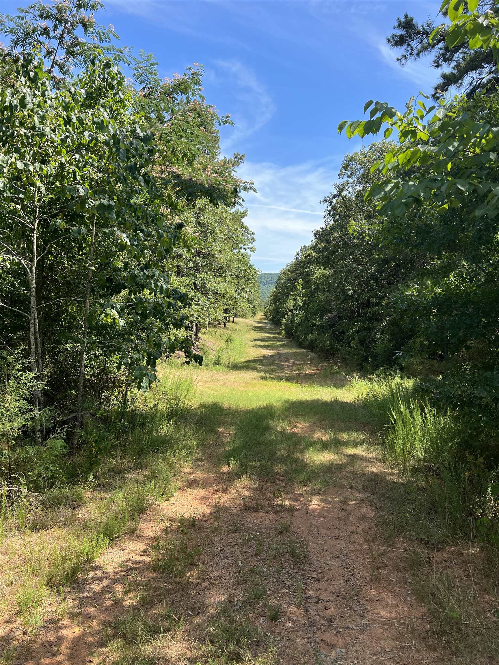 824 Fox Run  Heber Springs, AR