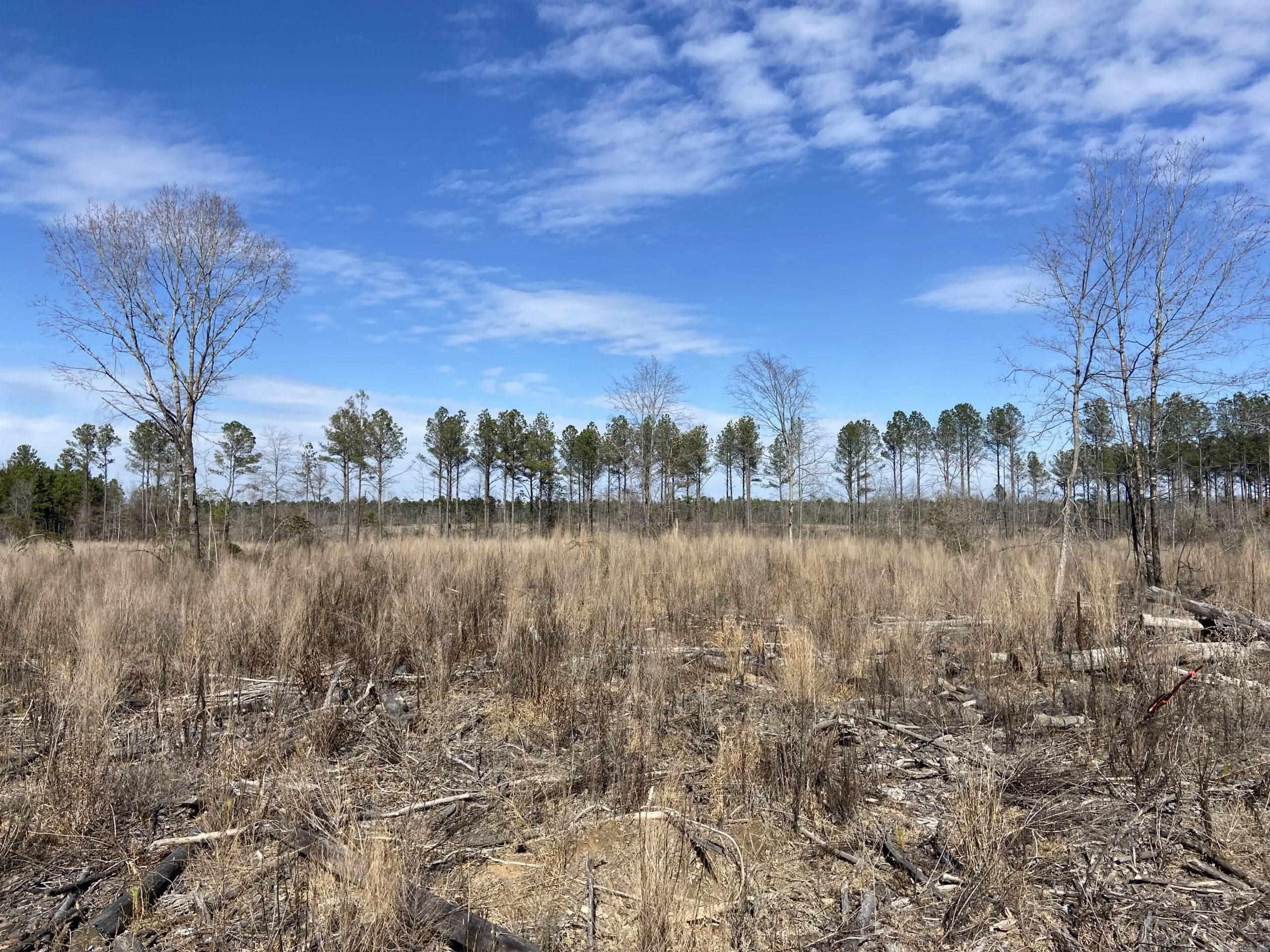  Boyd Road  Texarkana, AR