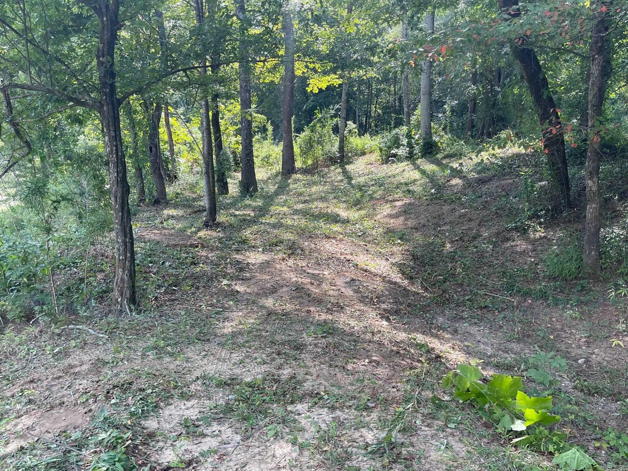 9999 Polk Road 38  Hatfield, AR