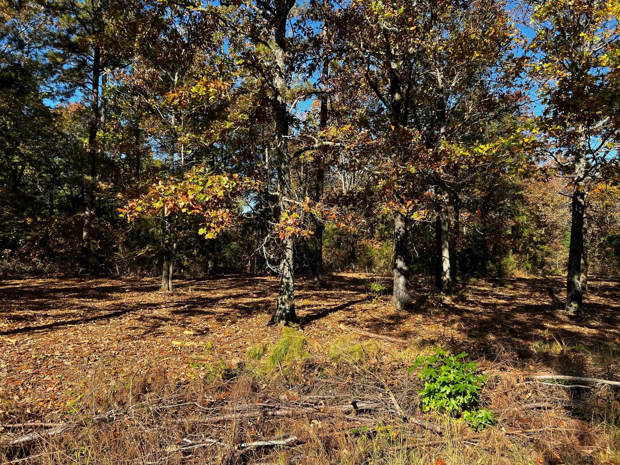 Lot 4 Little Red River  Searcy, AR