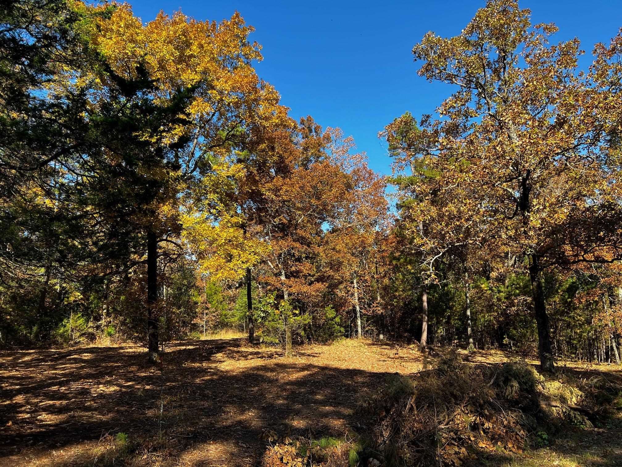 Lot 4 Little Red River  Searcy, AR