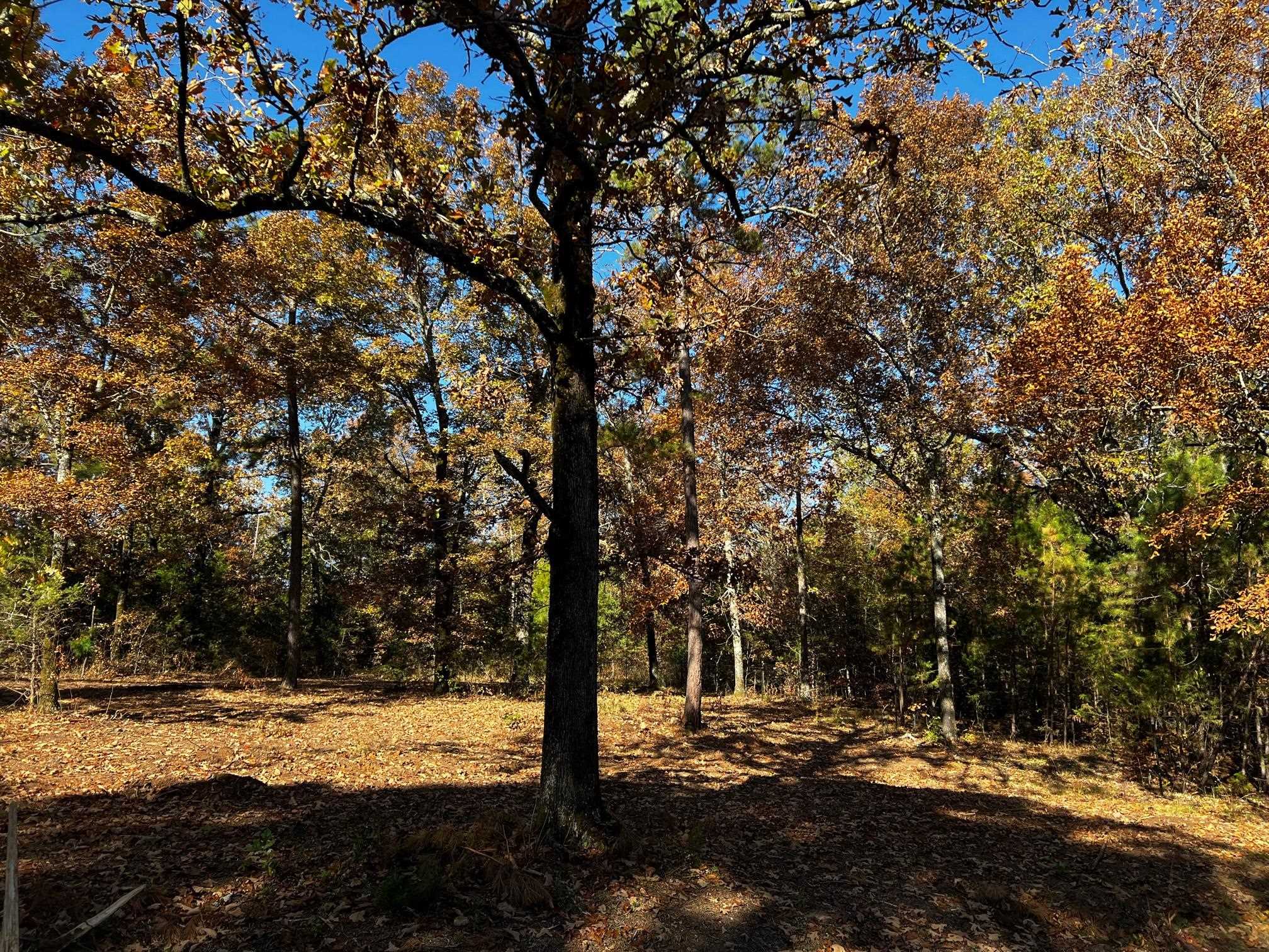 Lot 4 Little Red River  Searcy, AR