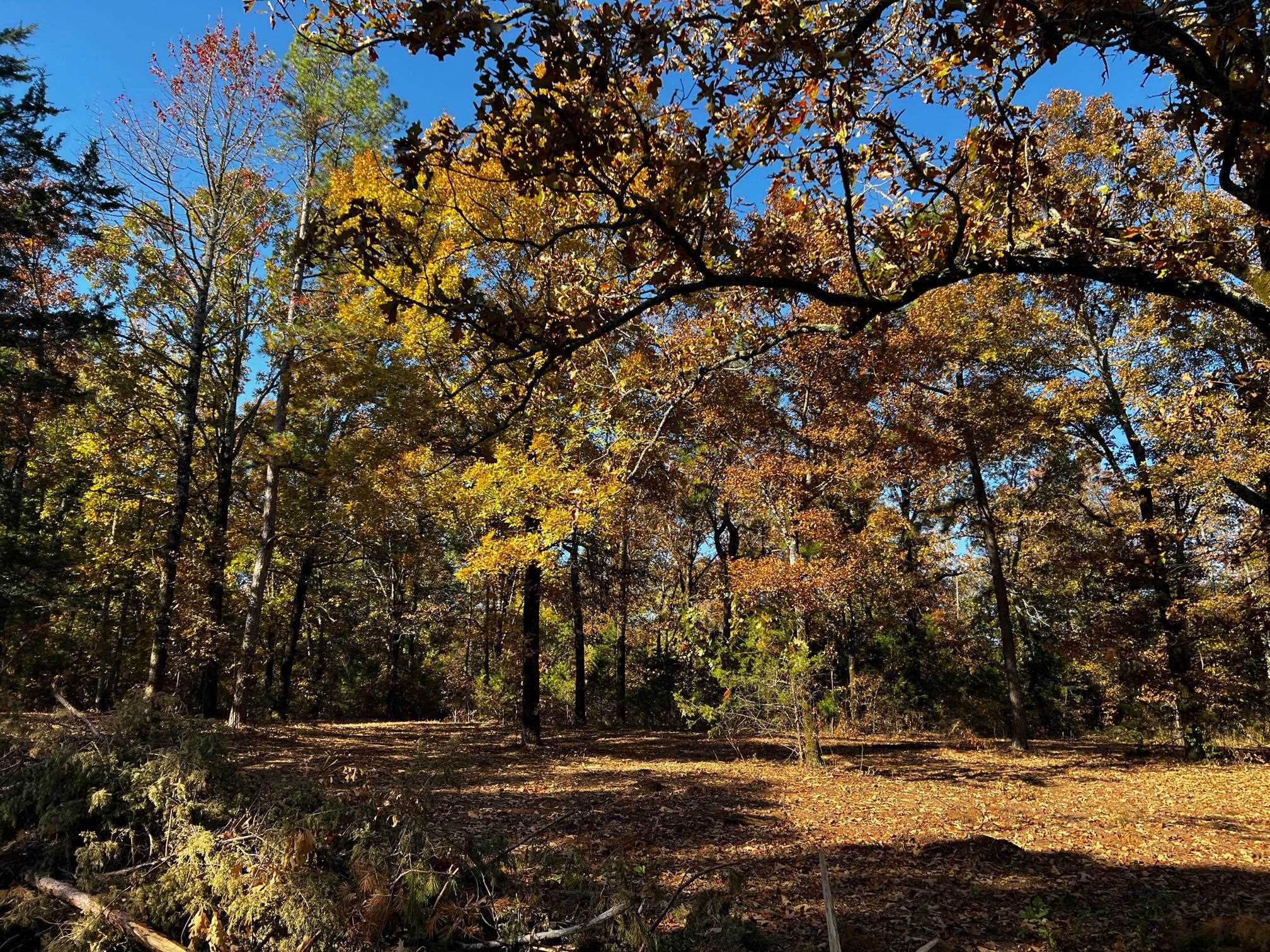 Lot 4 Little Red River  Searcy, AR