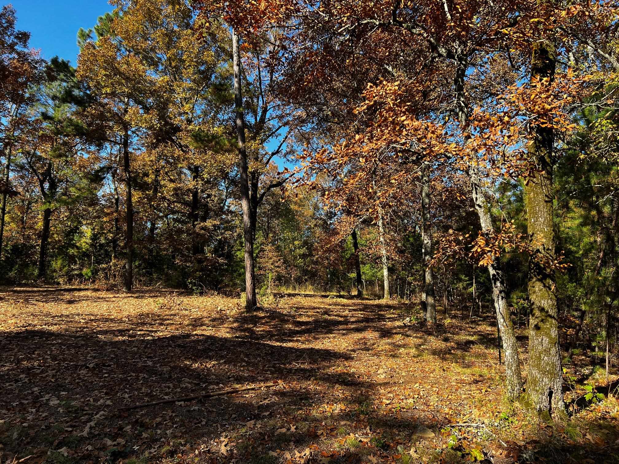 Lot 4 Little Red River  Searcy, AR