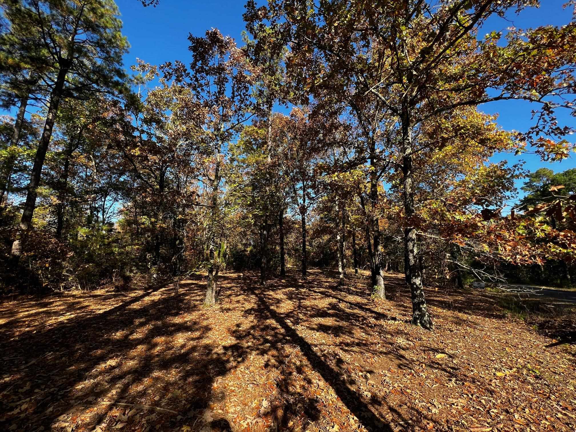 Lot 4 Little Red River  Searcy, AR