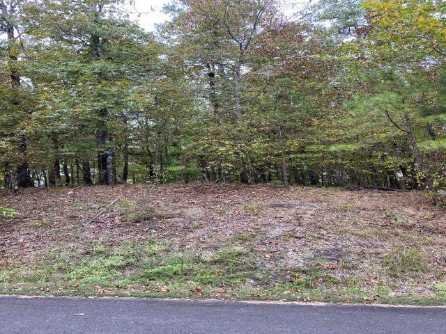 33 Darro  Hot Springs Village, AR