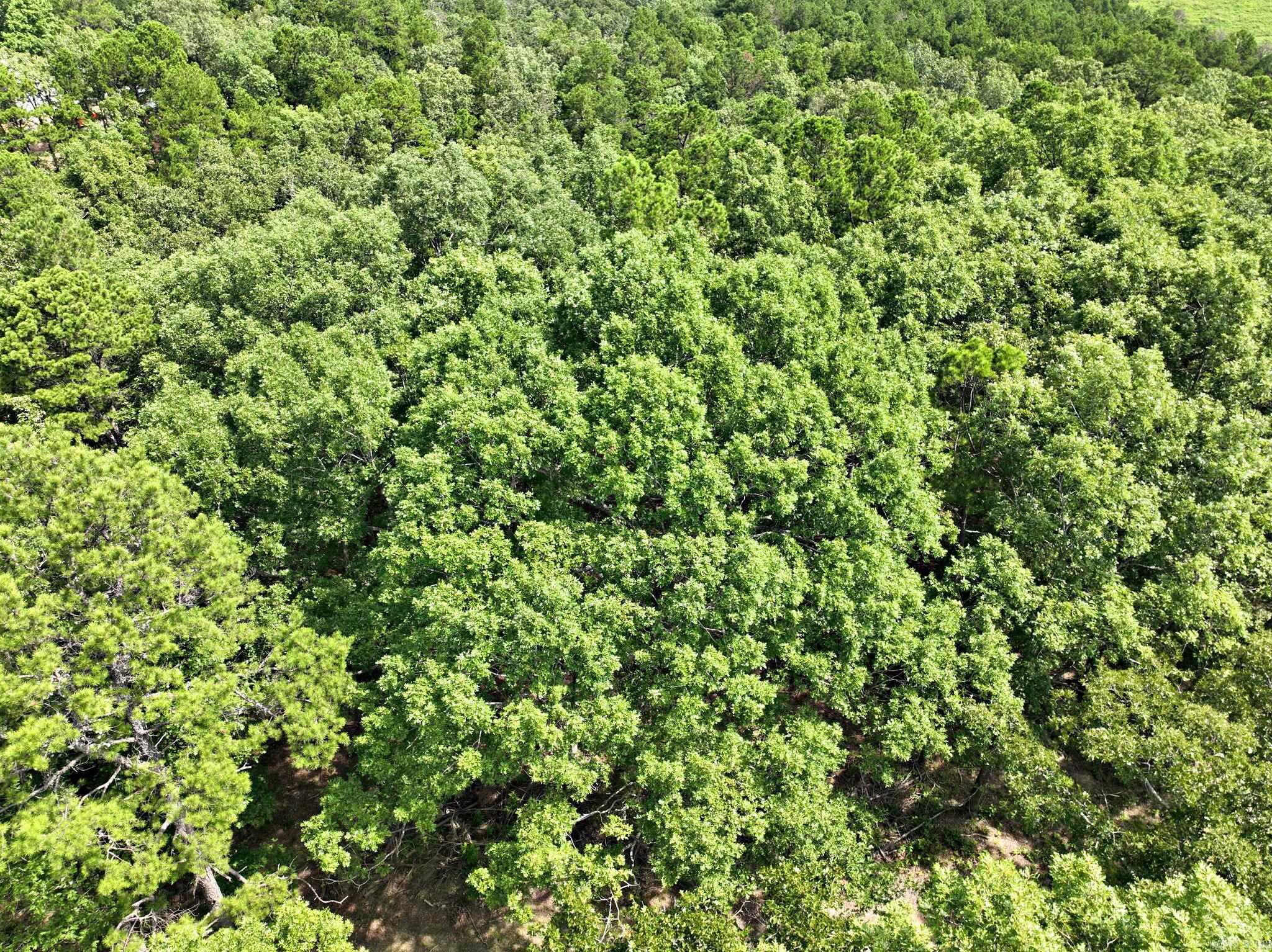 TBD Rolling Oaks Lane  Mena, AR