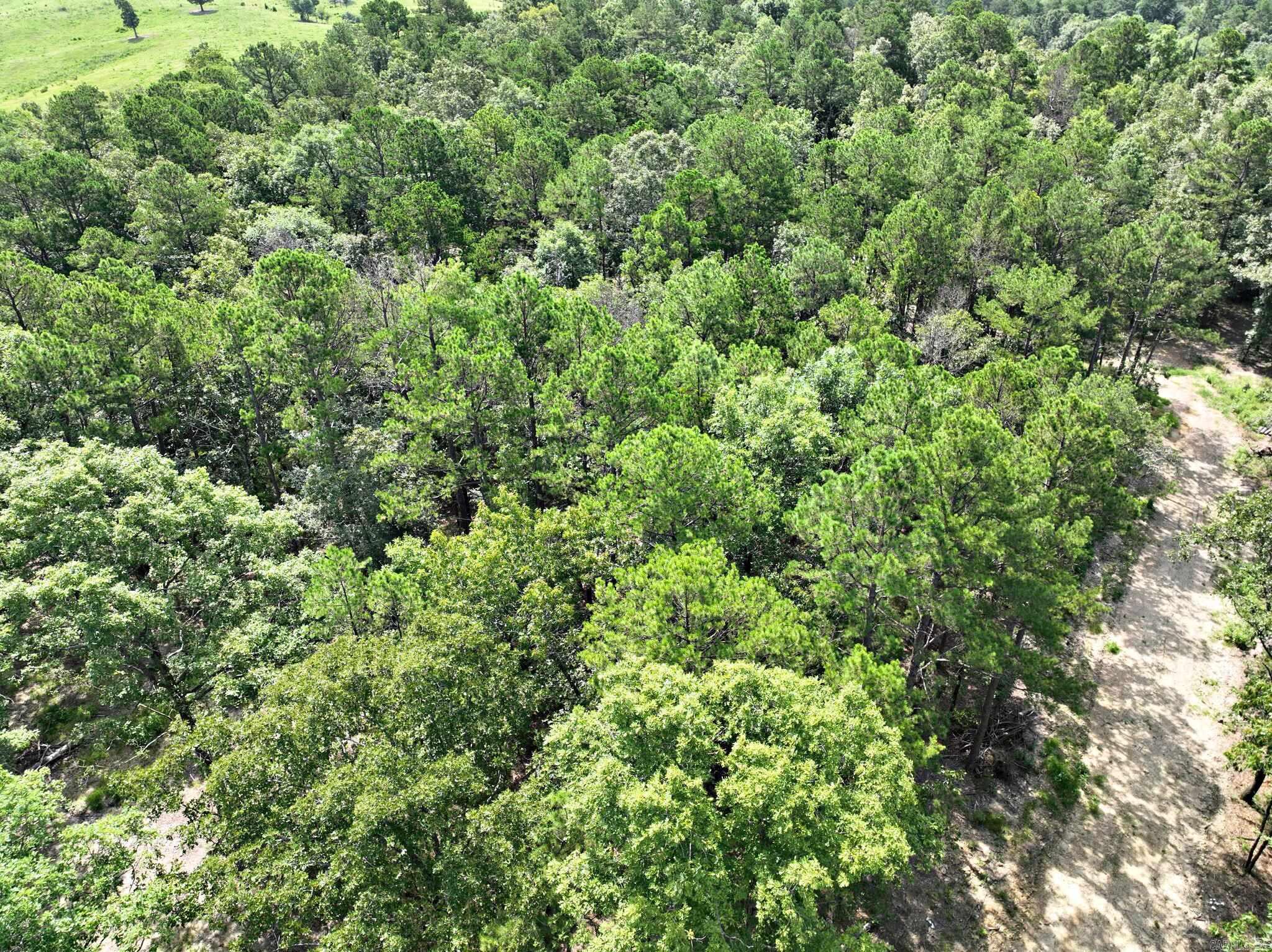 TBD Rolling Oaks Lane  Mena, AR