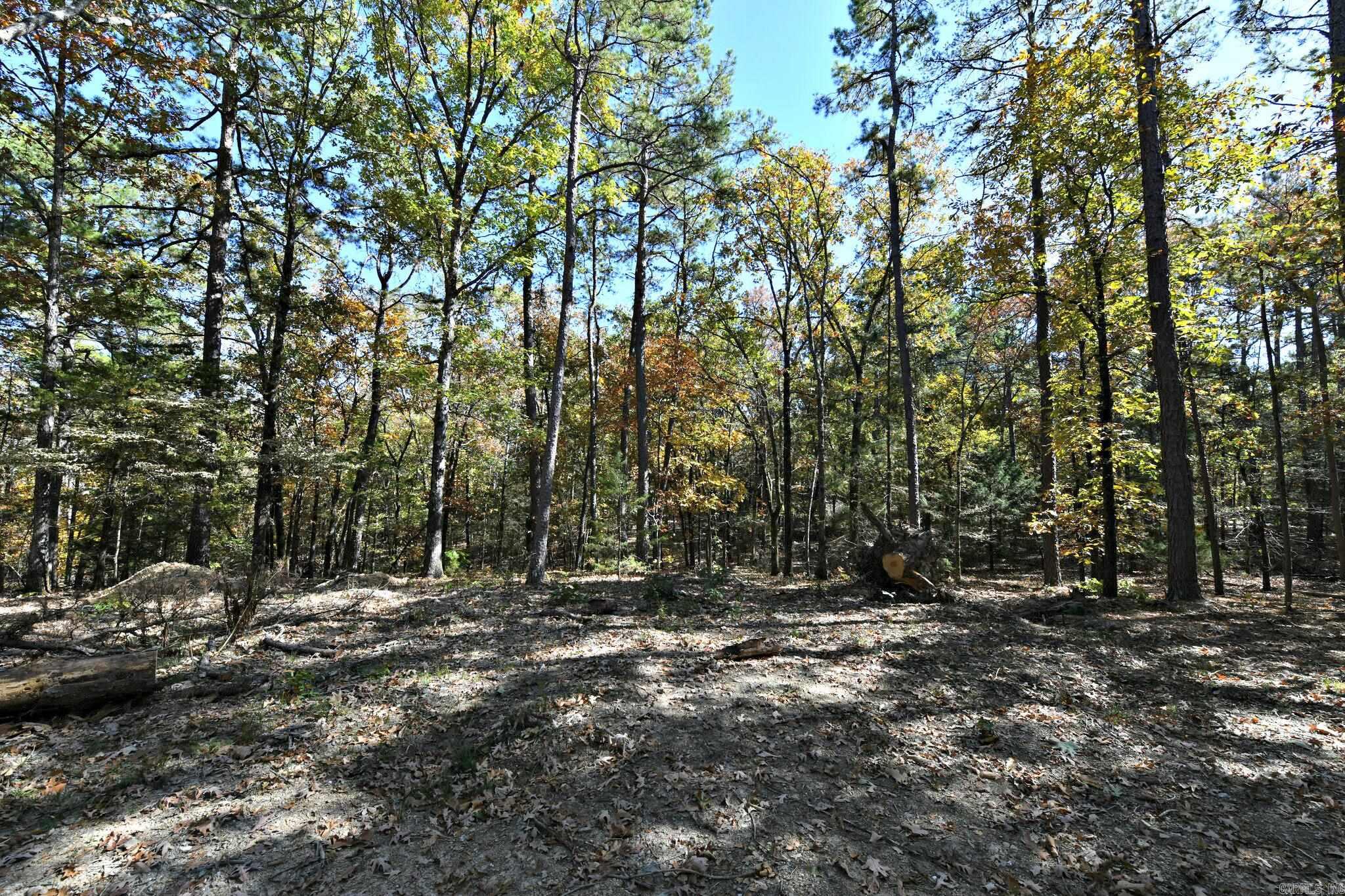 TBD Rolling Oaks Lane  Mena, AR