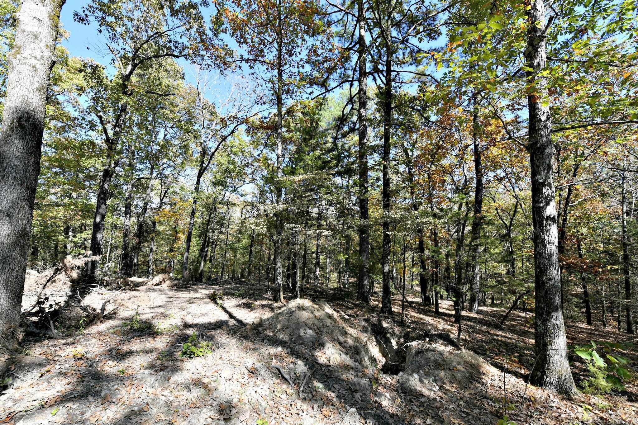 TBD Rolling Oaks Lane  Mena, AR