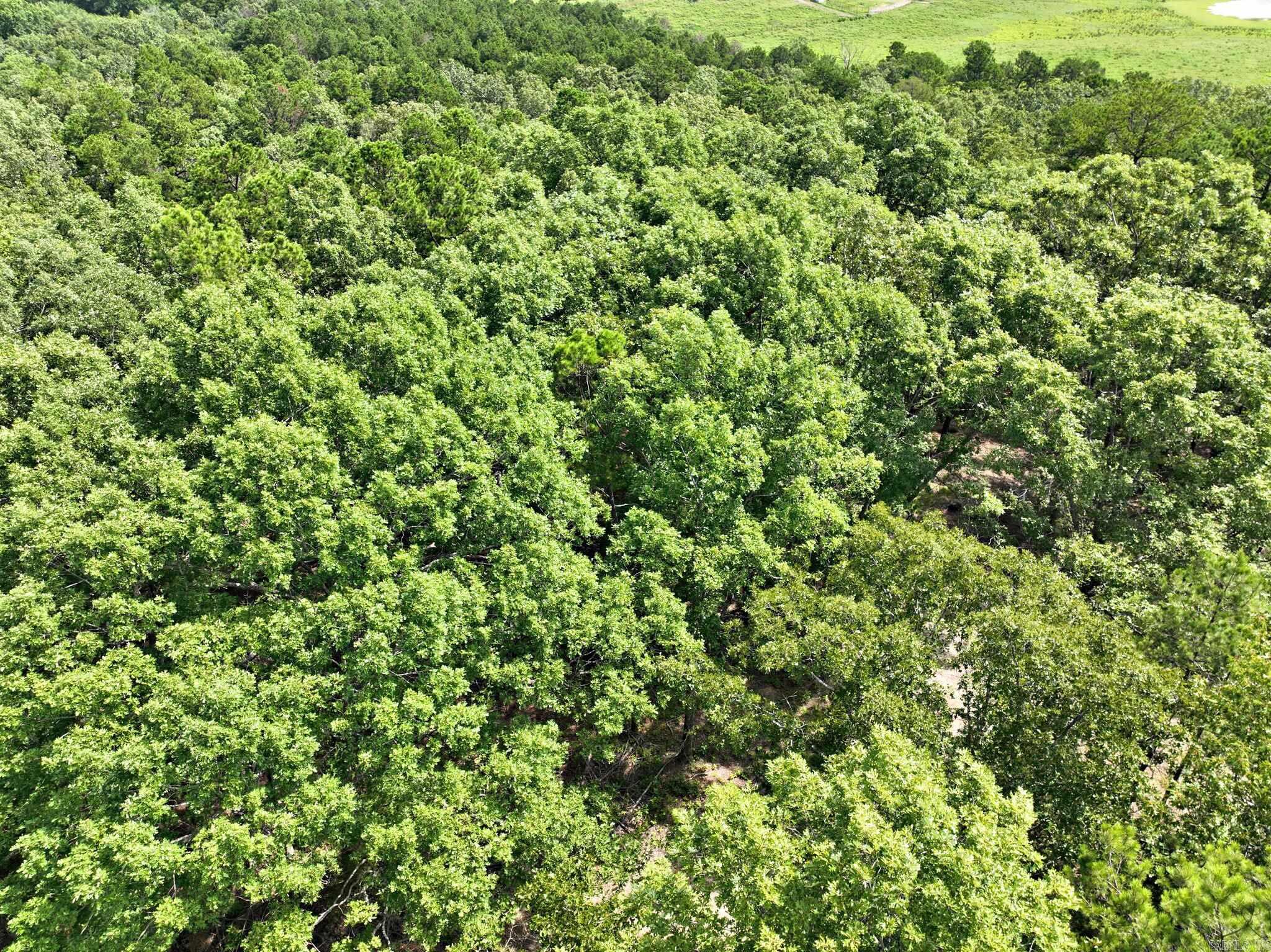 TBD Rolling Oaks Lane  Mena, AR