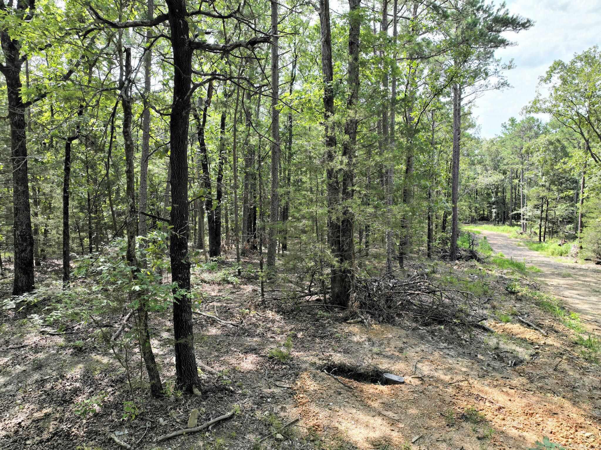 TBD Rolling Oaks Lane  Mena, AR