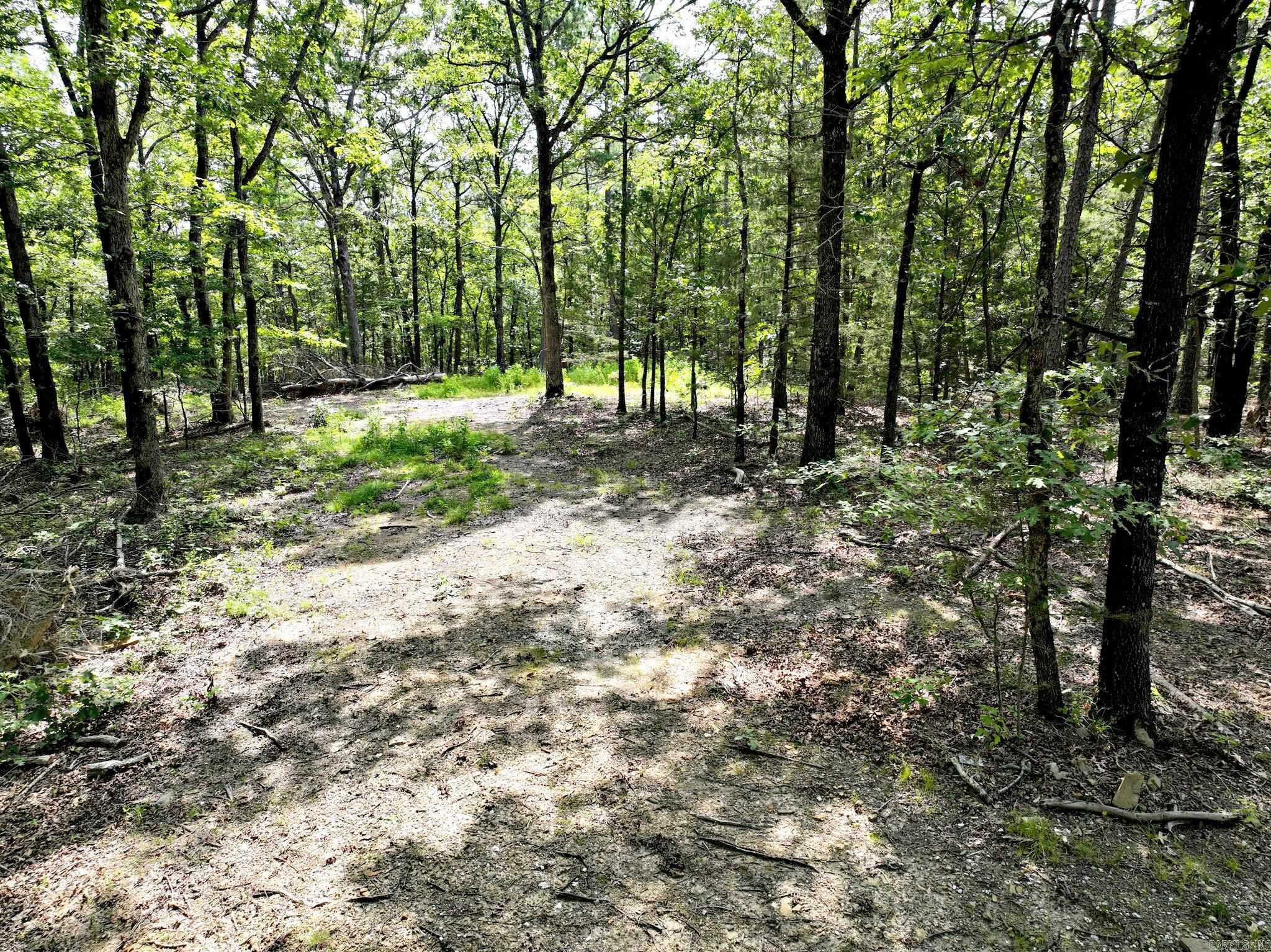 TBD Rolling Oaks Lane  Mena, AR