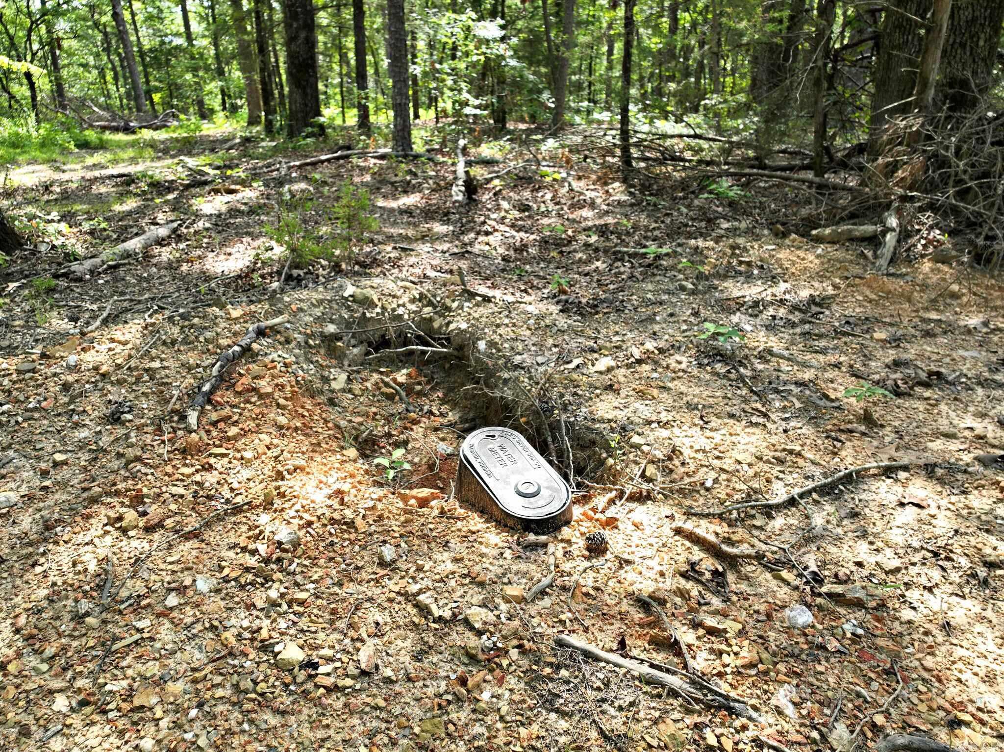 TBD Rolling Oaks Lane  Mena, AR