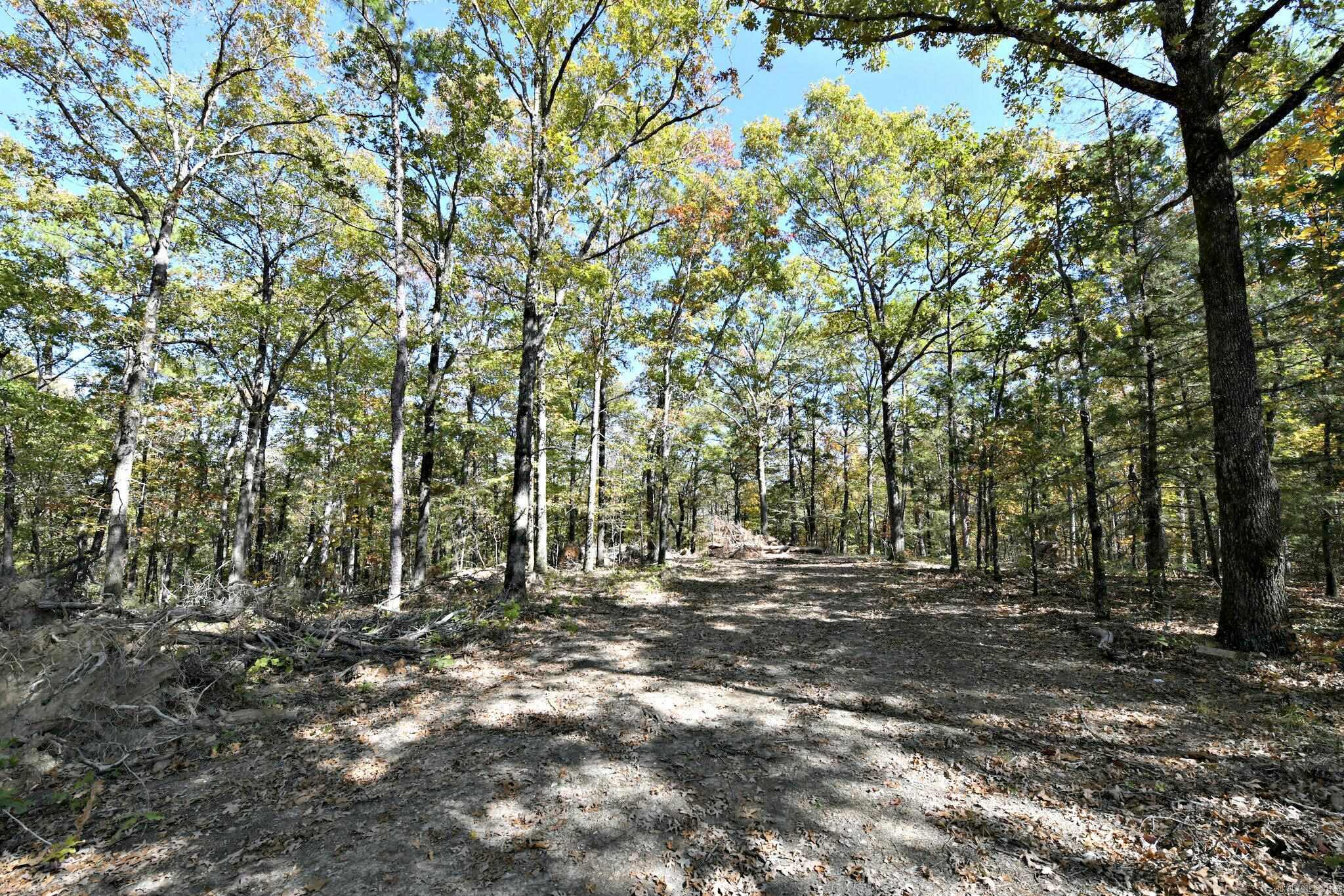 TBD Rolling Oaks Lane  Mena, AR