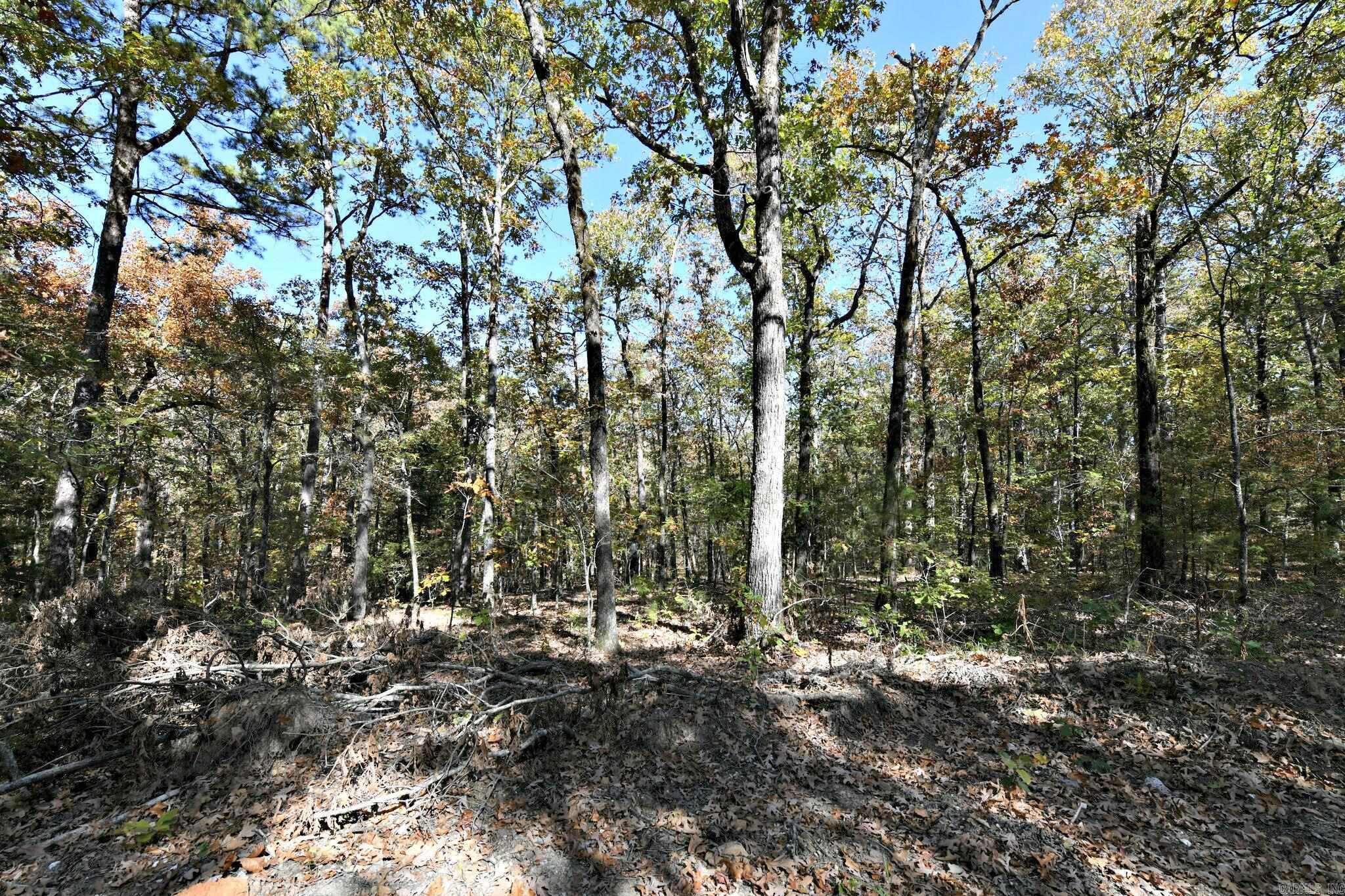 TBD Rolling Oaks Lane  Mena, AR