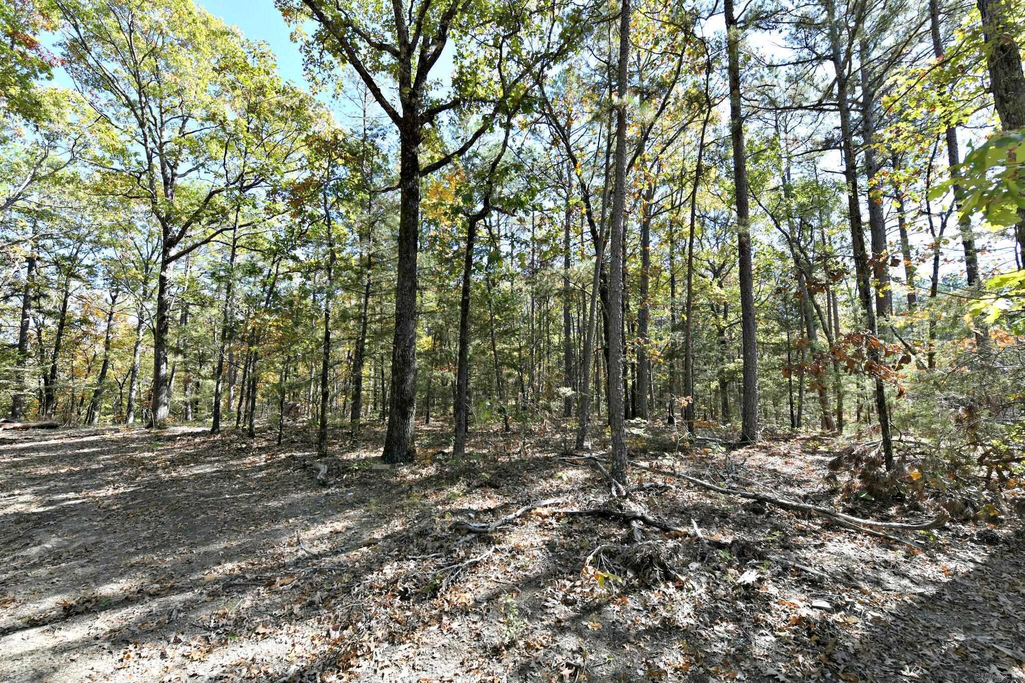 TBD Rolling Oaks Lane  Mena, AR