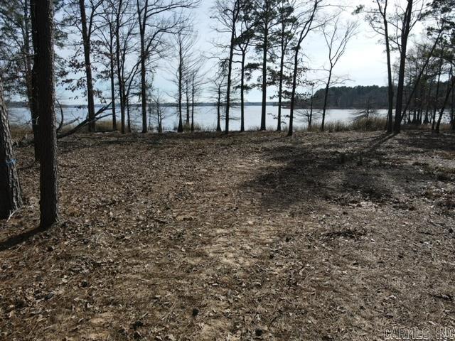 000 Whippoorwill Lot 42 Lewisville, AR