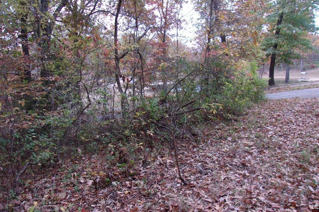 00 Flint Drive  Lakeview, AR