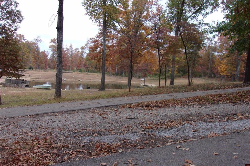 00 Flint Drive  Lakeview, AR