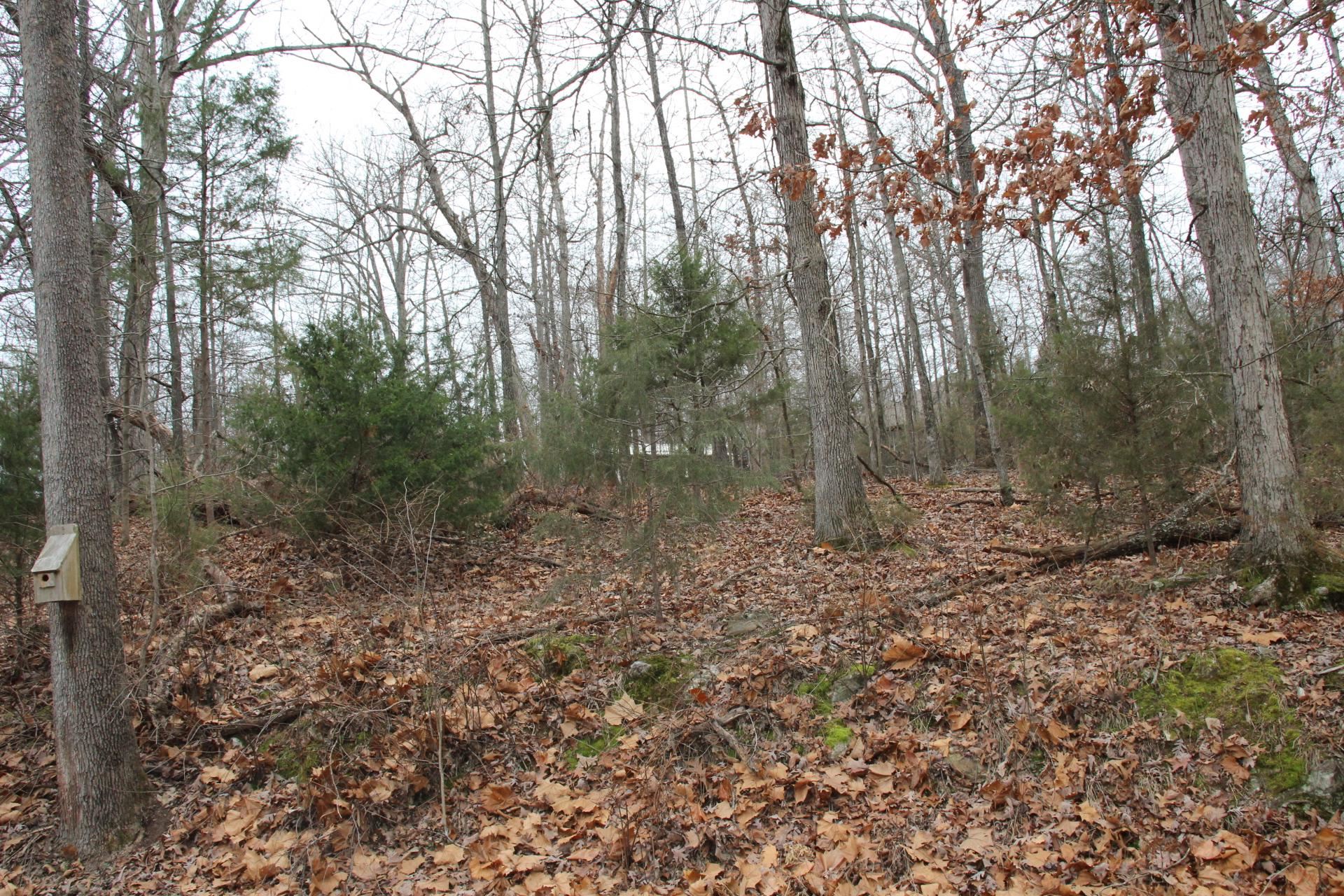 Lot 21 Woodstone  Bull Shoals, AR
