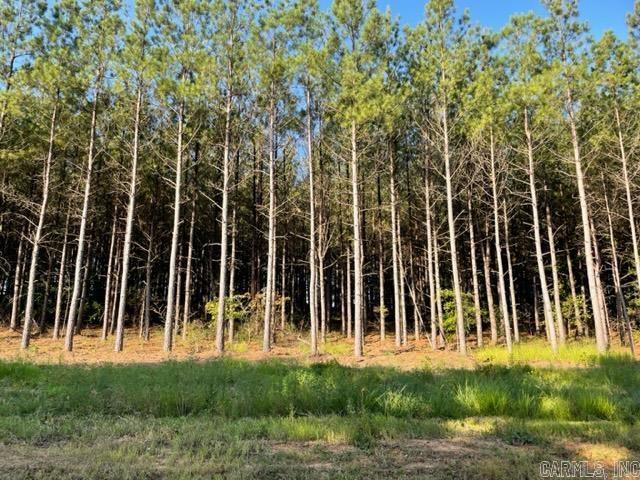  Lot 6 Round Mountain Road  Conway, AR
