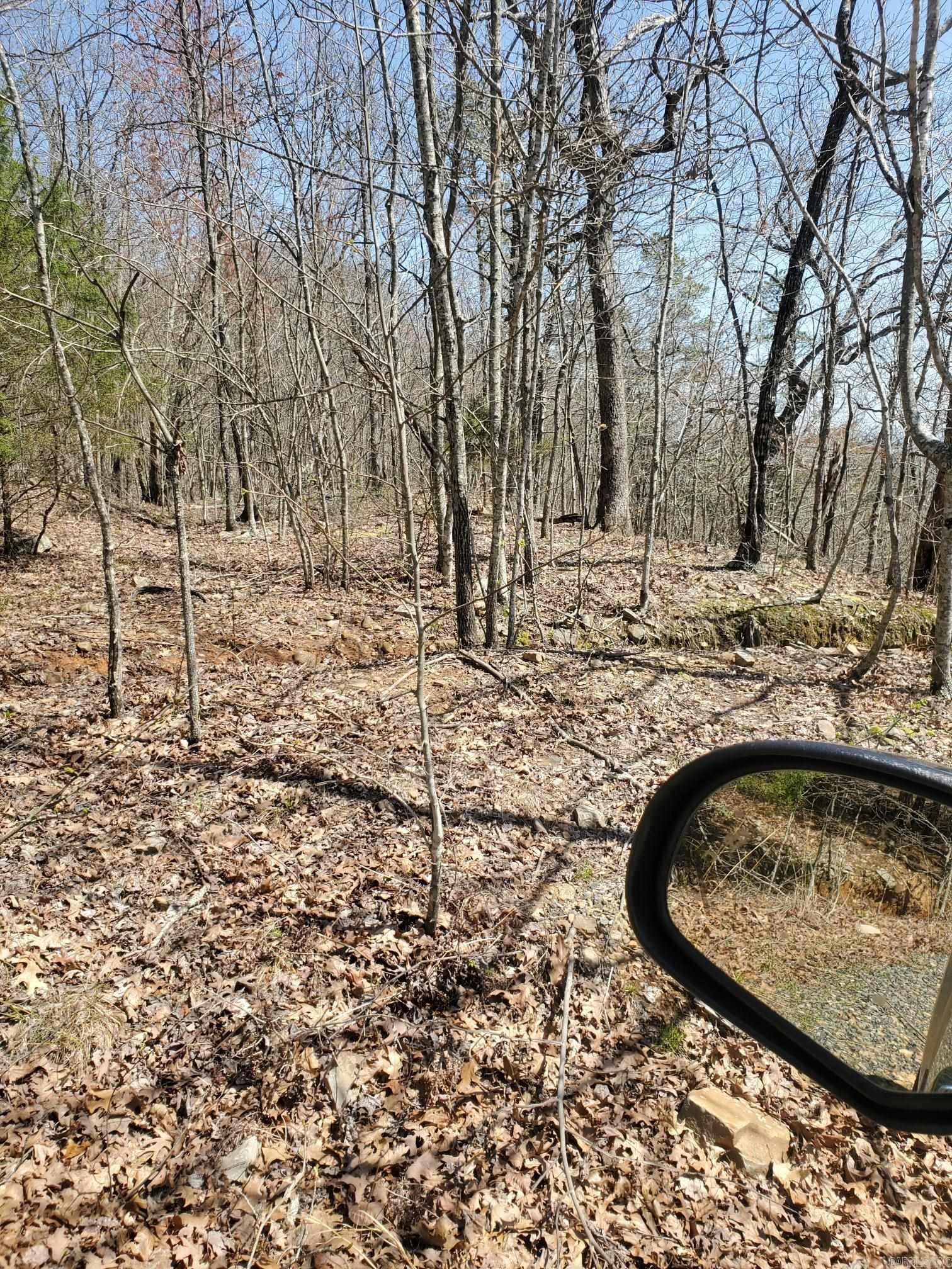 TBD Diamond Rose Lane  Mena, AR