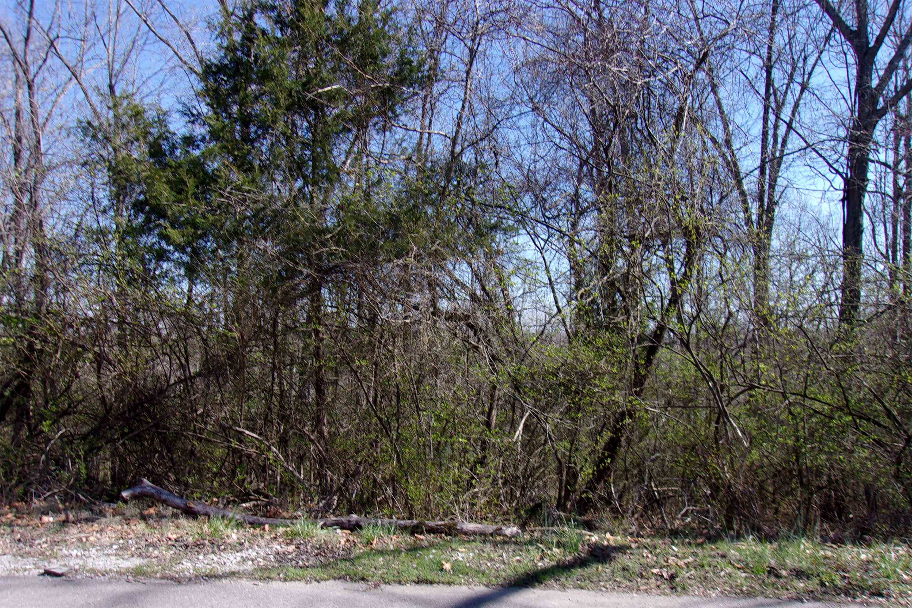 00 8th street  Flippin, AR