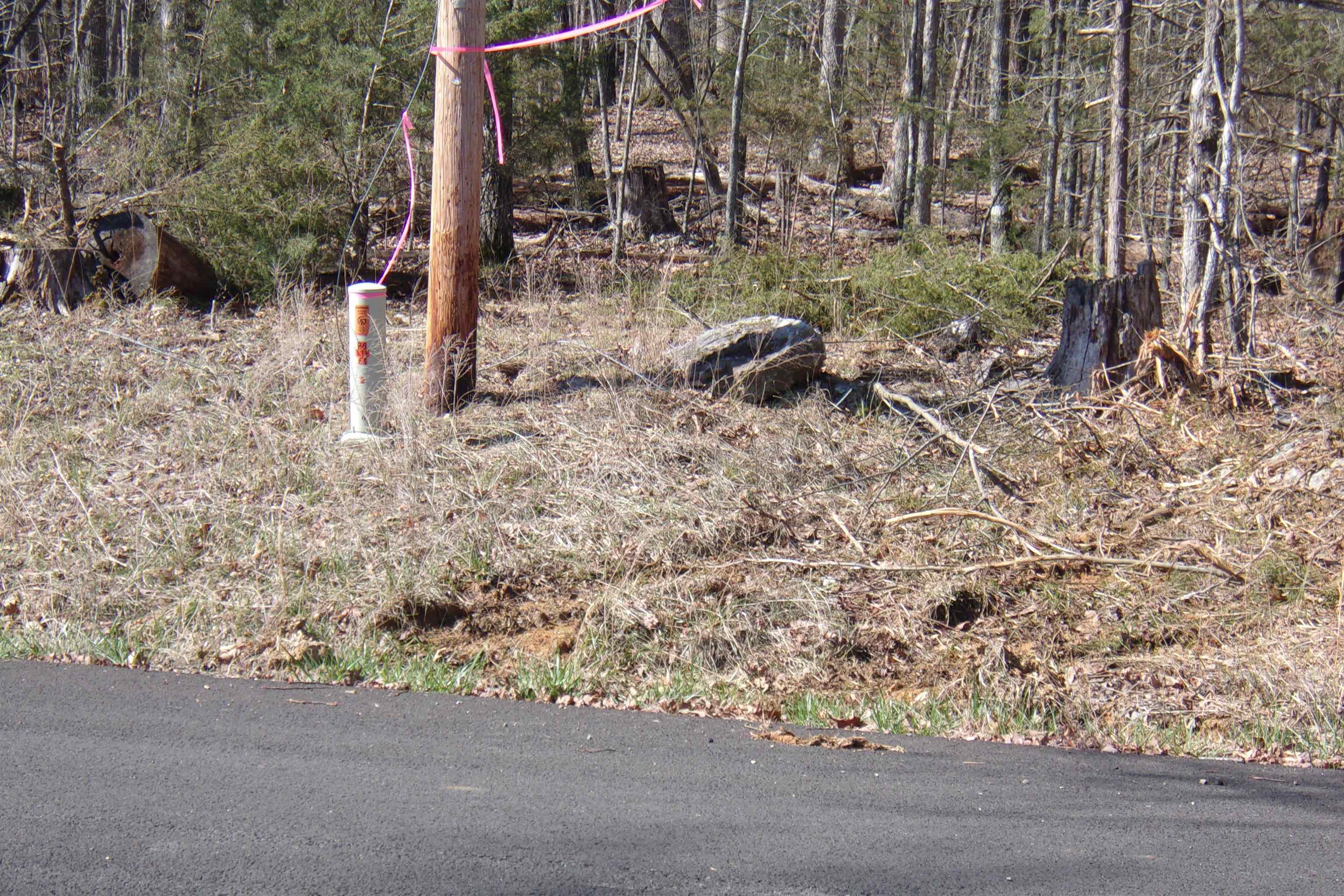 00 Alford  Bull Shoals, AR