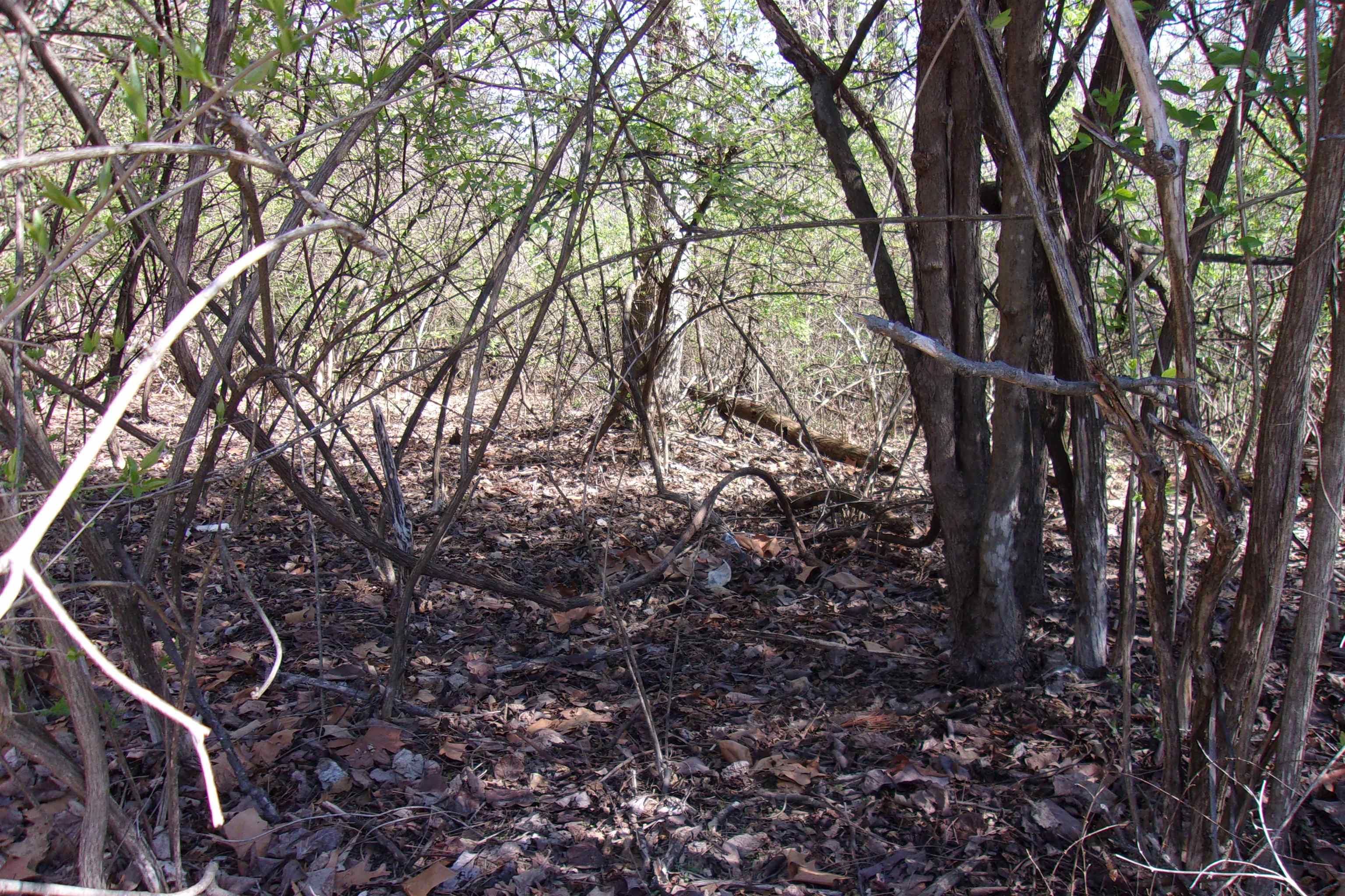 00 Alford  Bull Shoals, AR