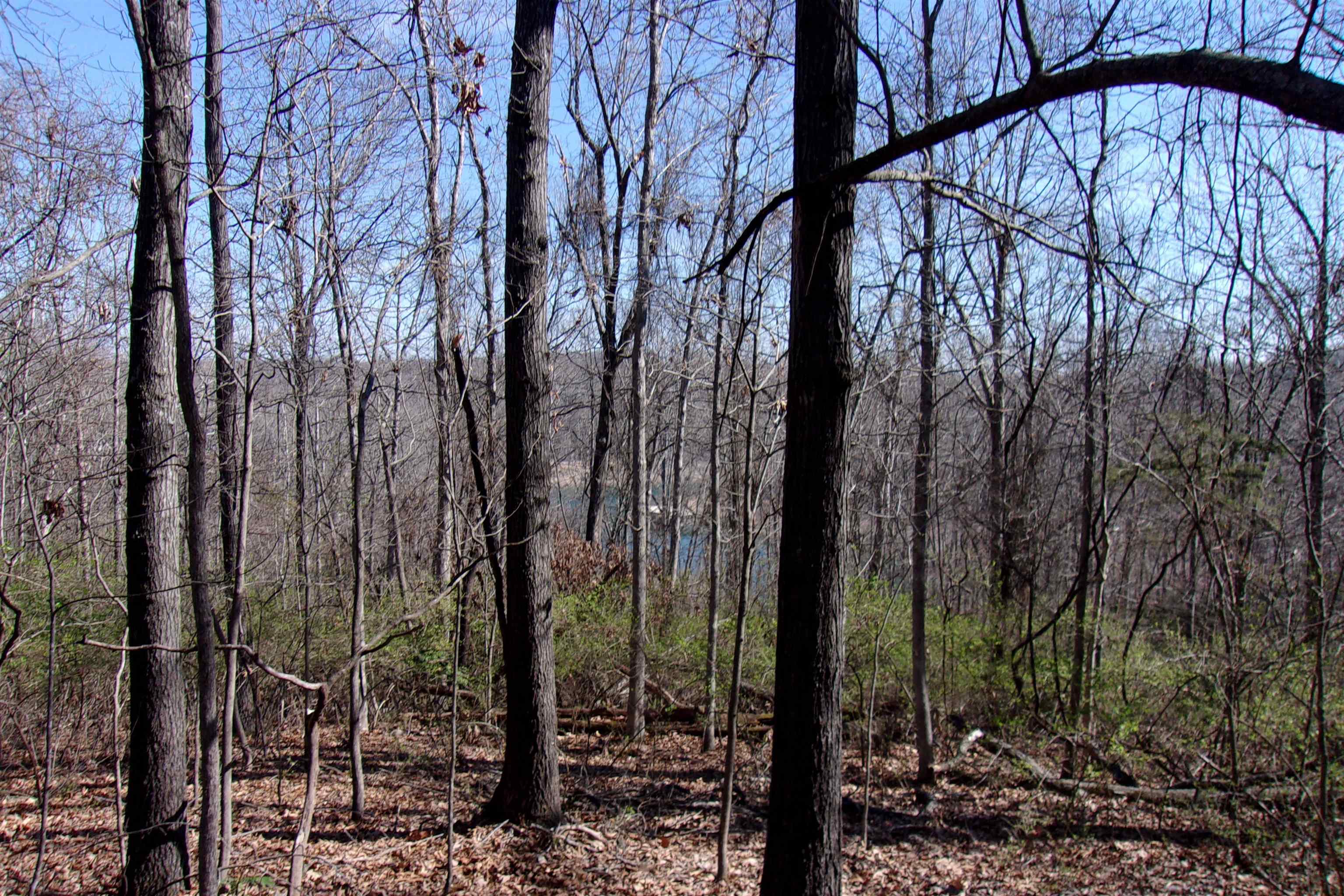 00 Alford  Bull Shoals, AR