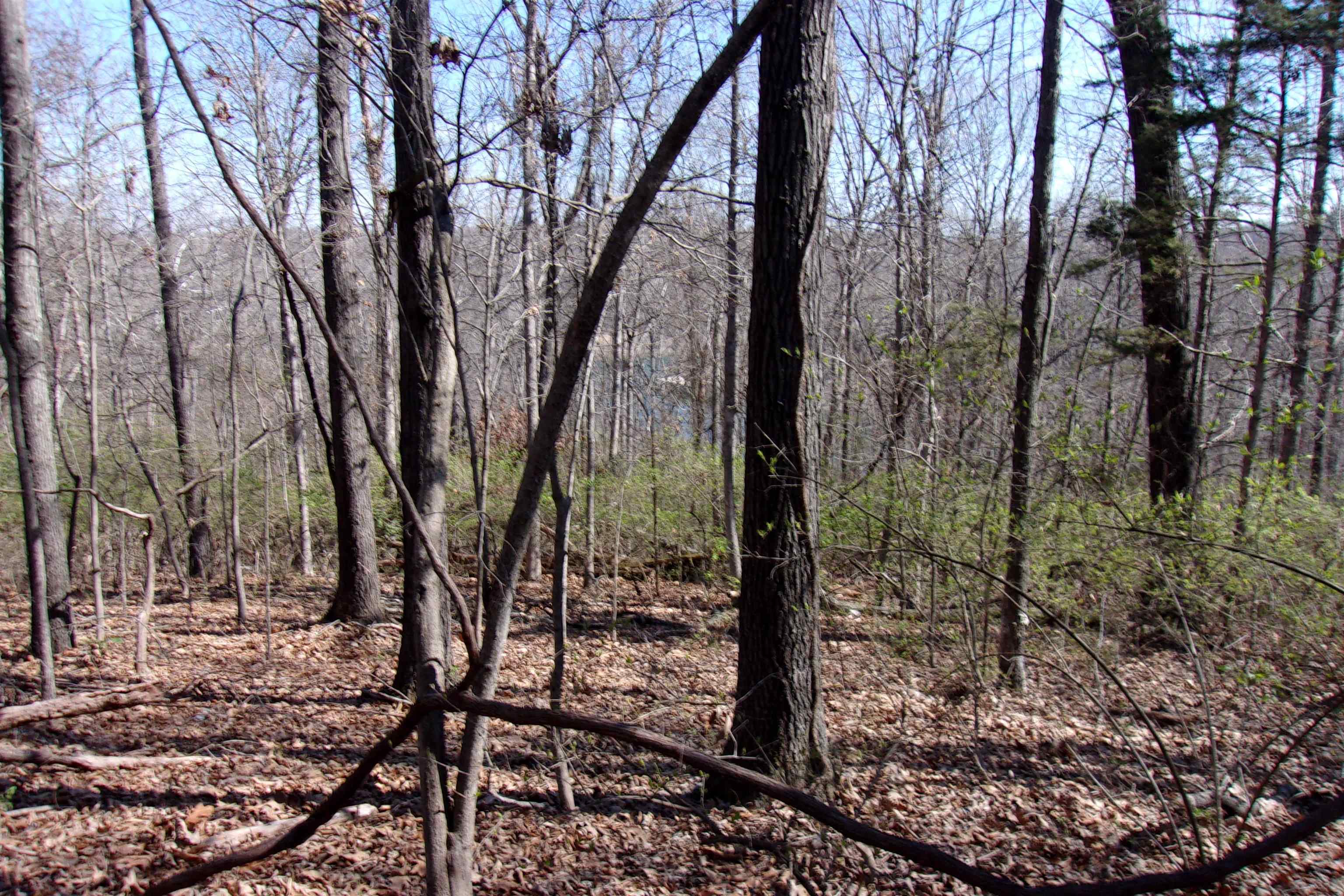 00 Alford  Bull Shoals, AR