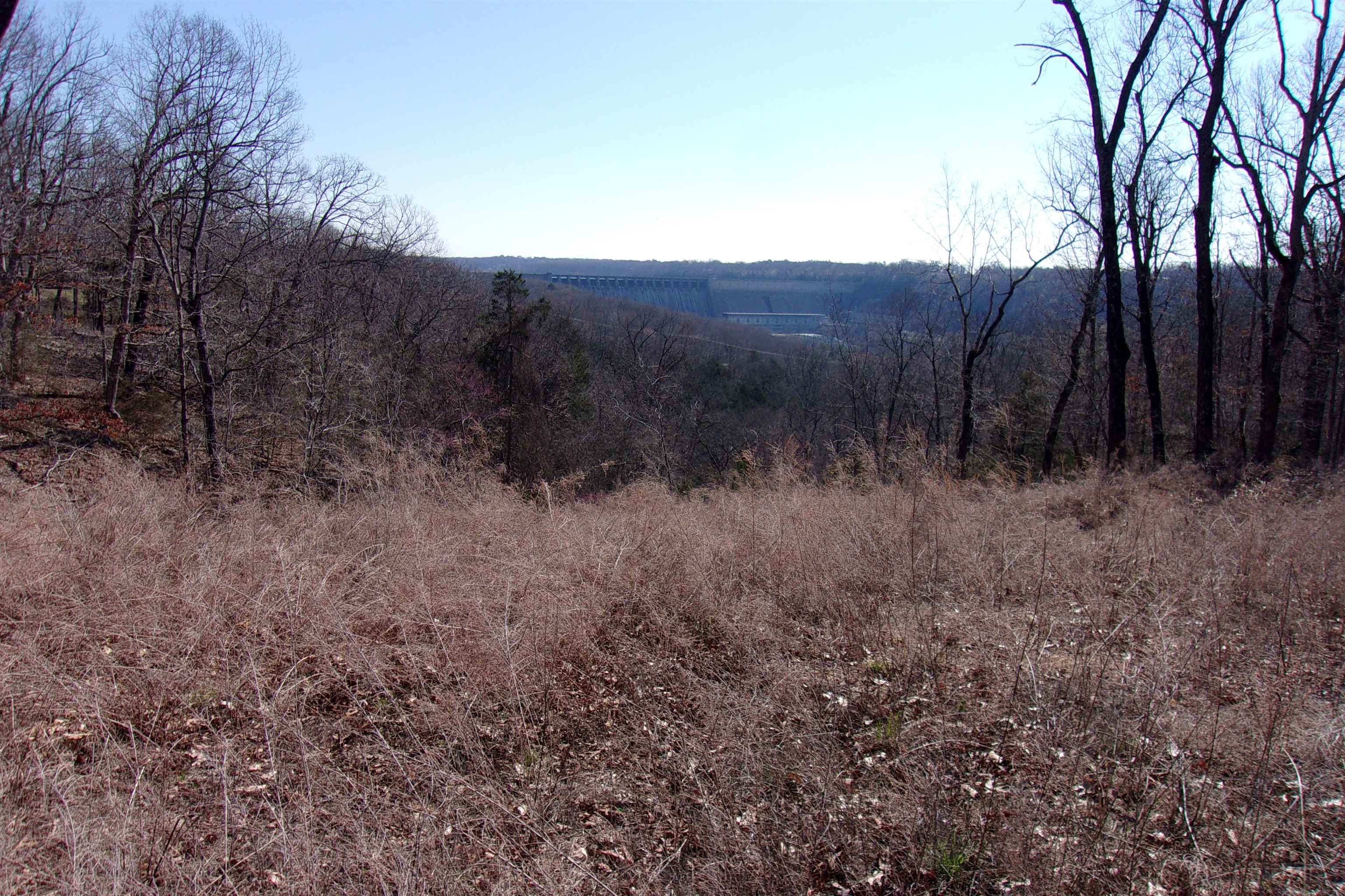 Lot 14 Country Club ln  Bull Shoals, AR