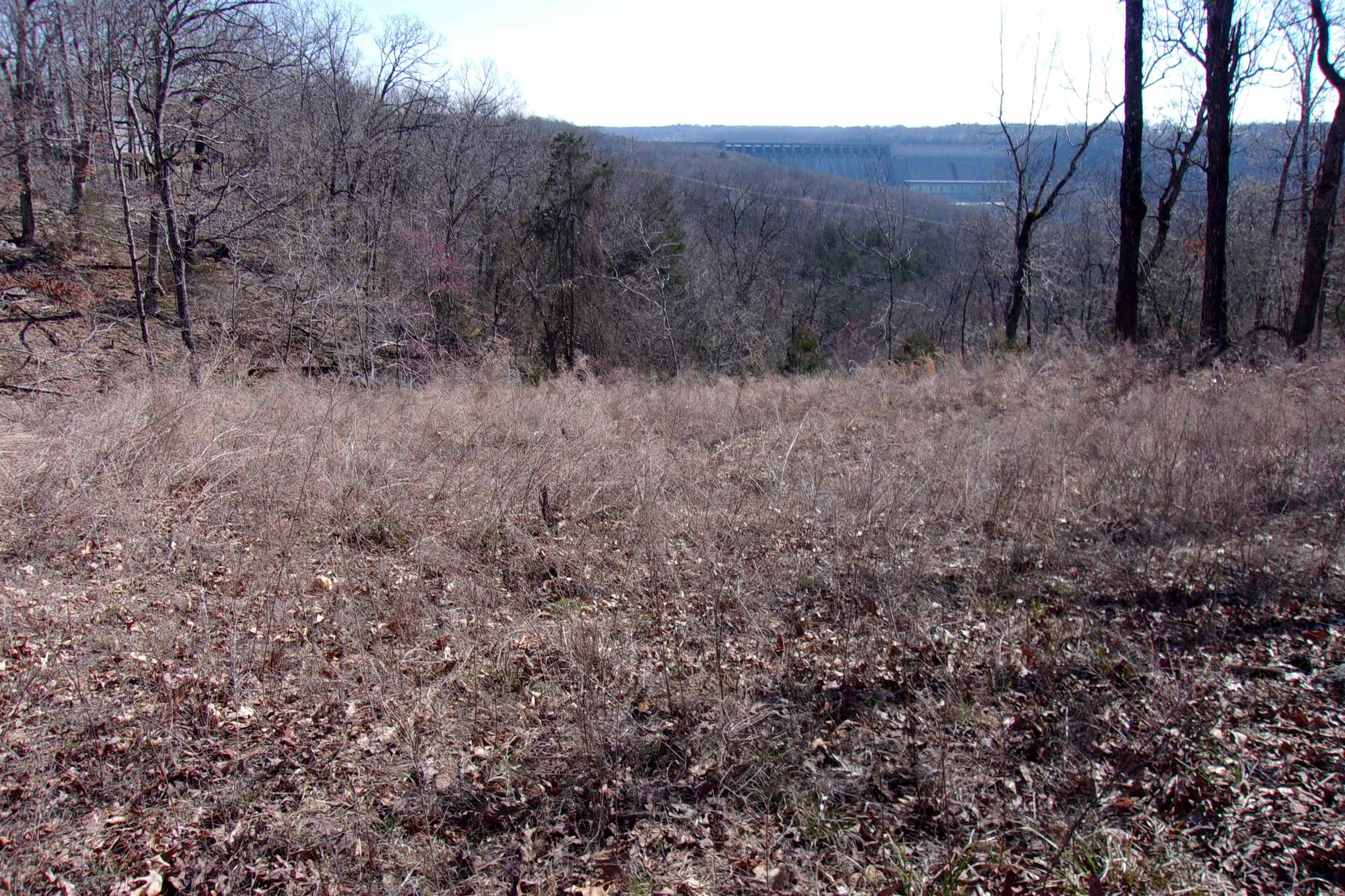 Lot 14 Country Club ln  Bull Shoals, AR