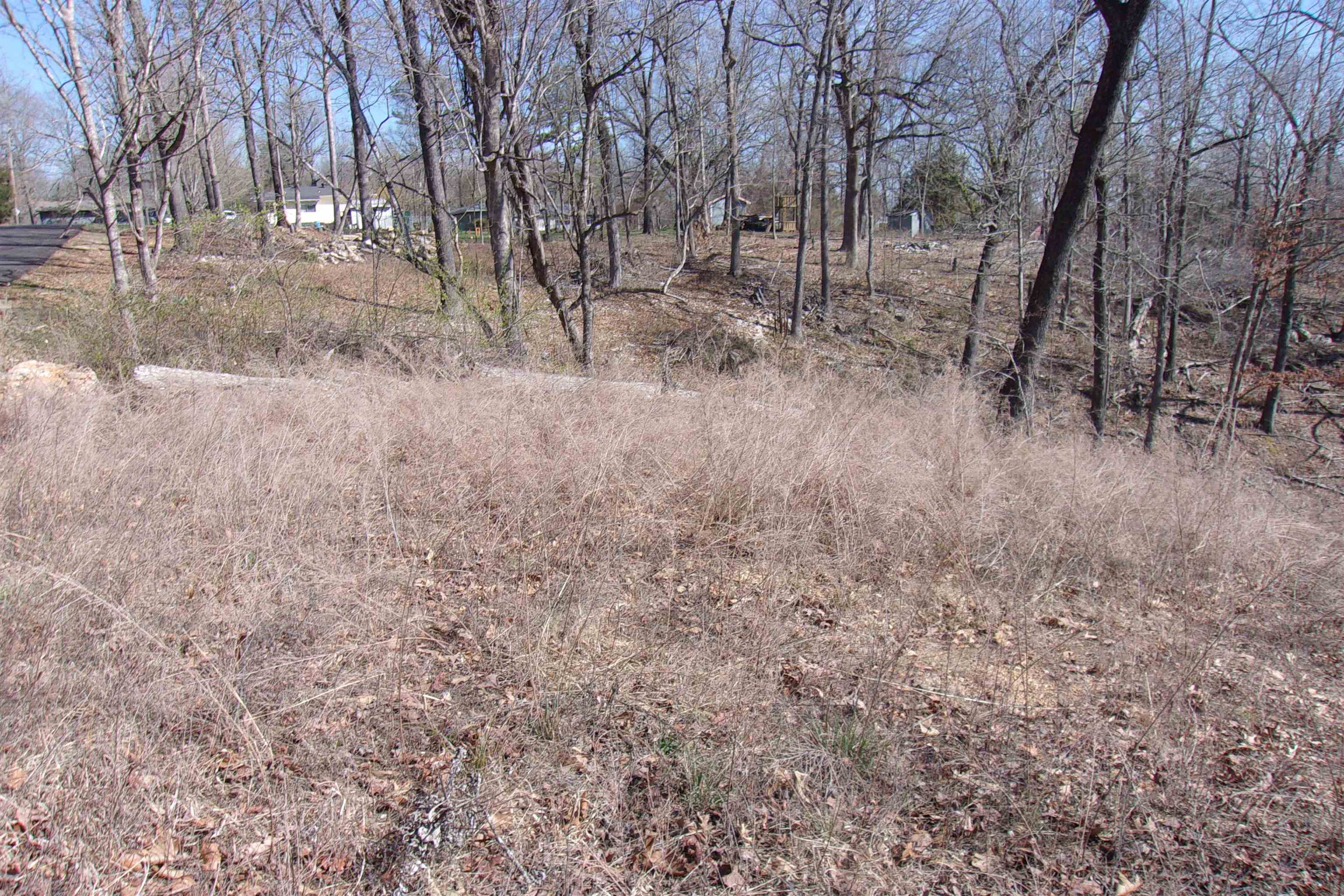 Lot 14 Country Club ln  Bull Shoals, AR