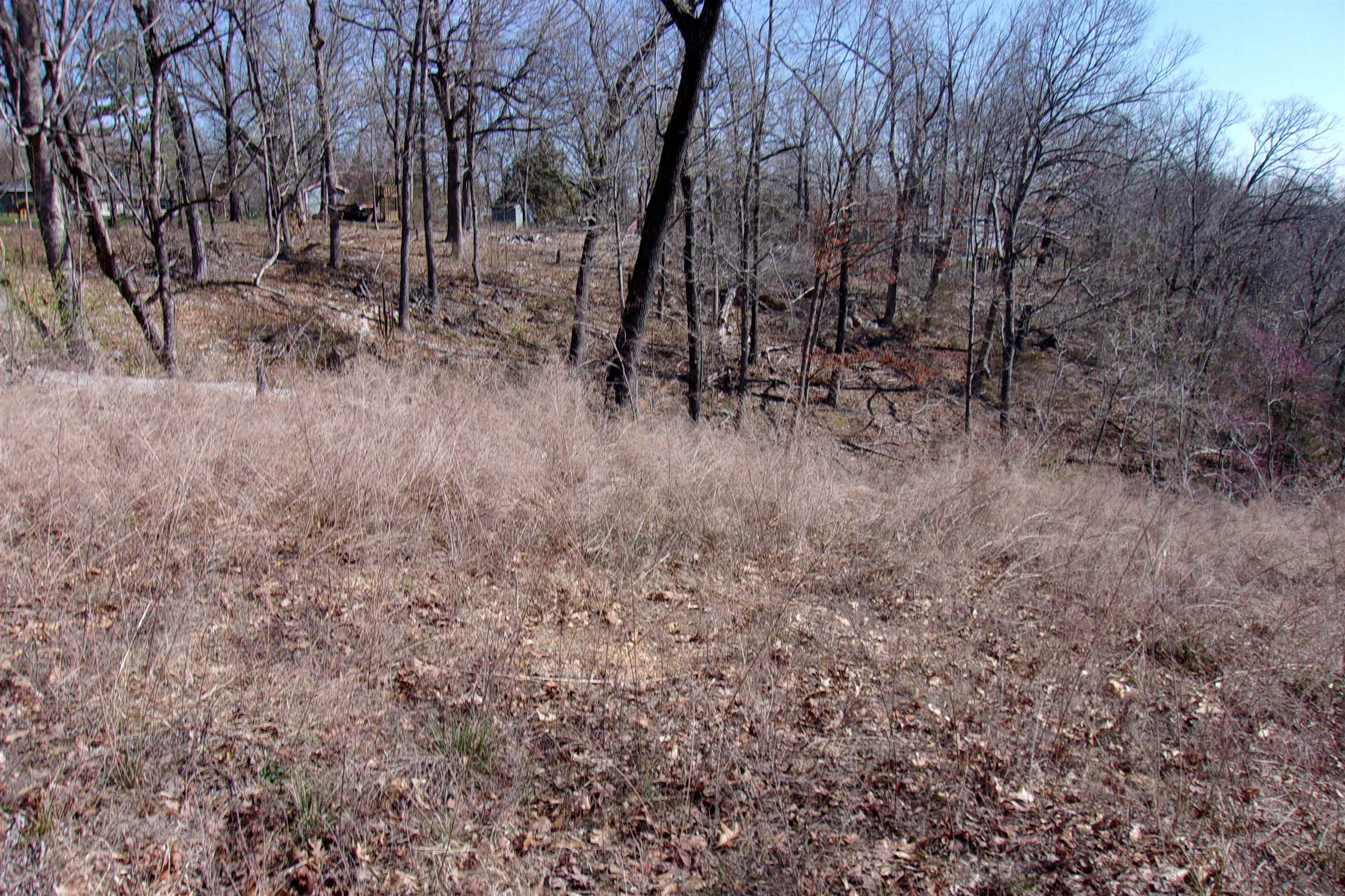 Lot 16 Country Club Ln  Bull Shoals, AR