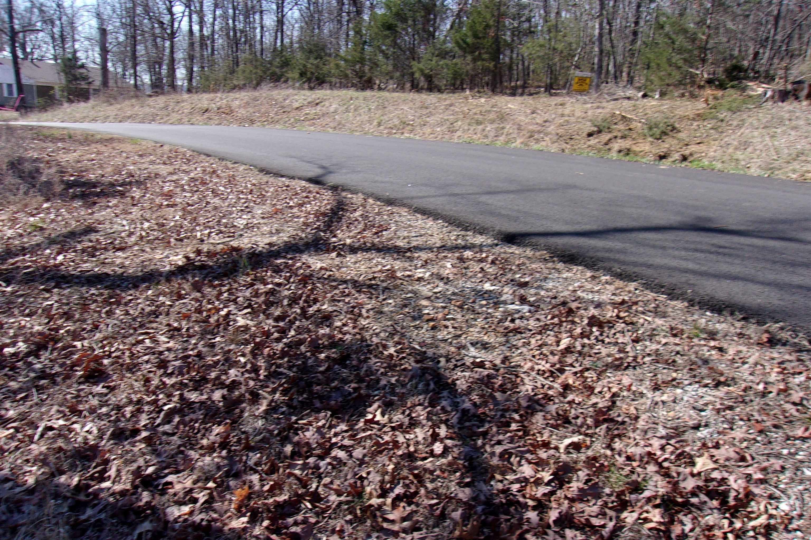 Lot 8 Country Club Lane  Bull Shoals, AR