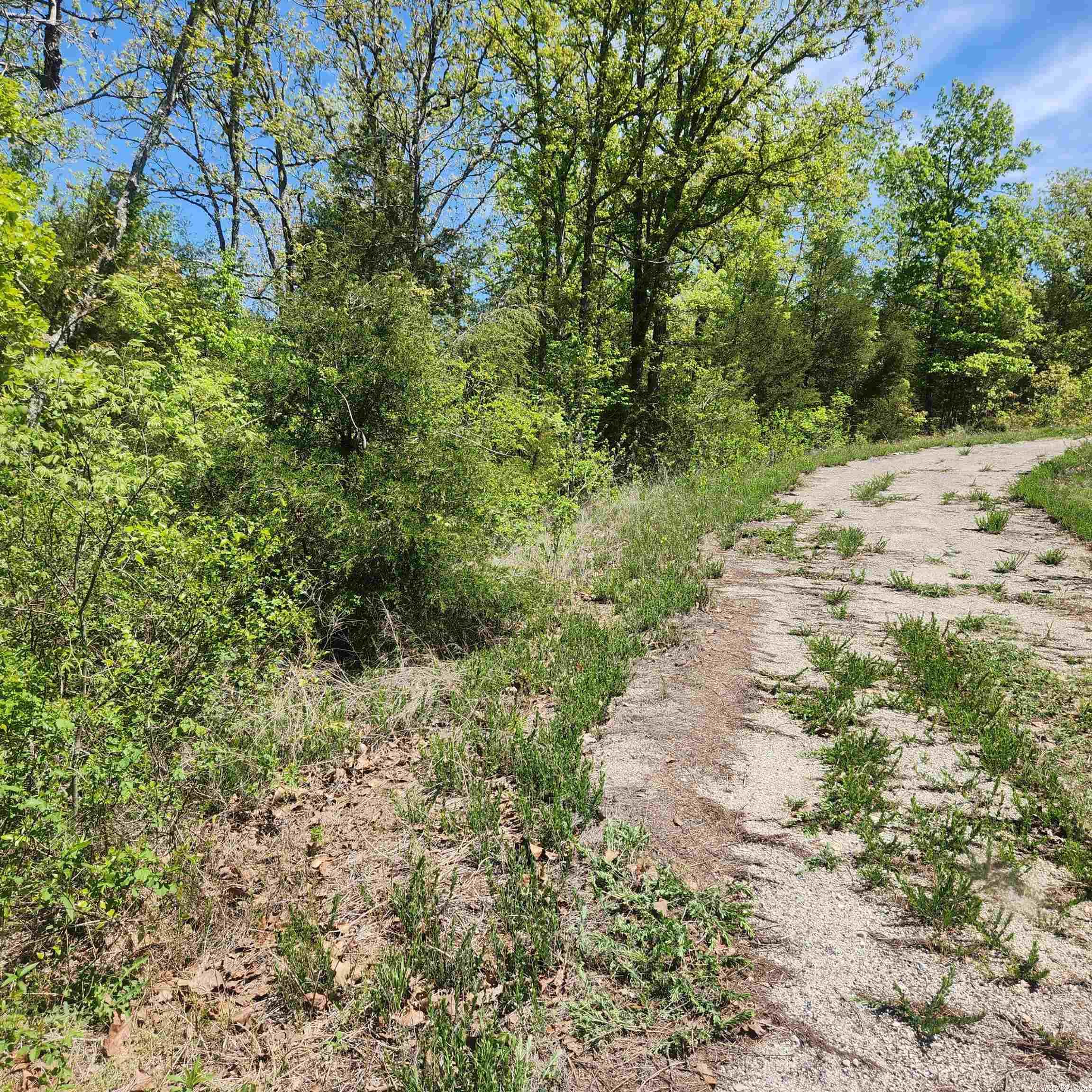 L-9 B-2 Minnetree  Cherokee Village, AR