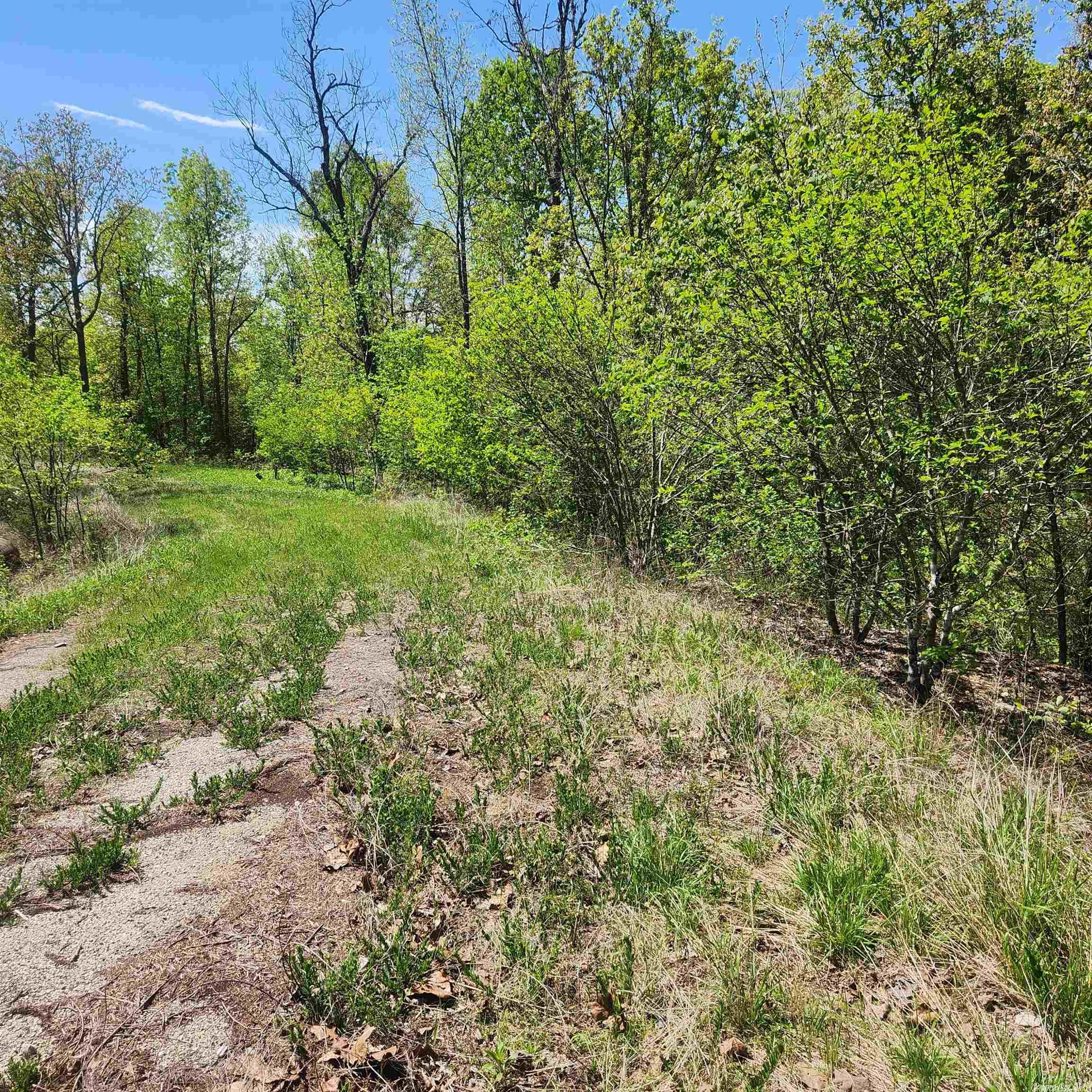 L-9 B-2 Minnetree  Cherokee Village, AR