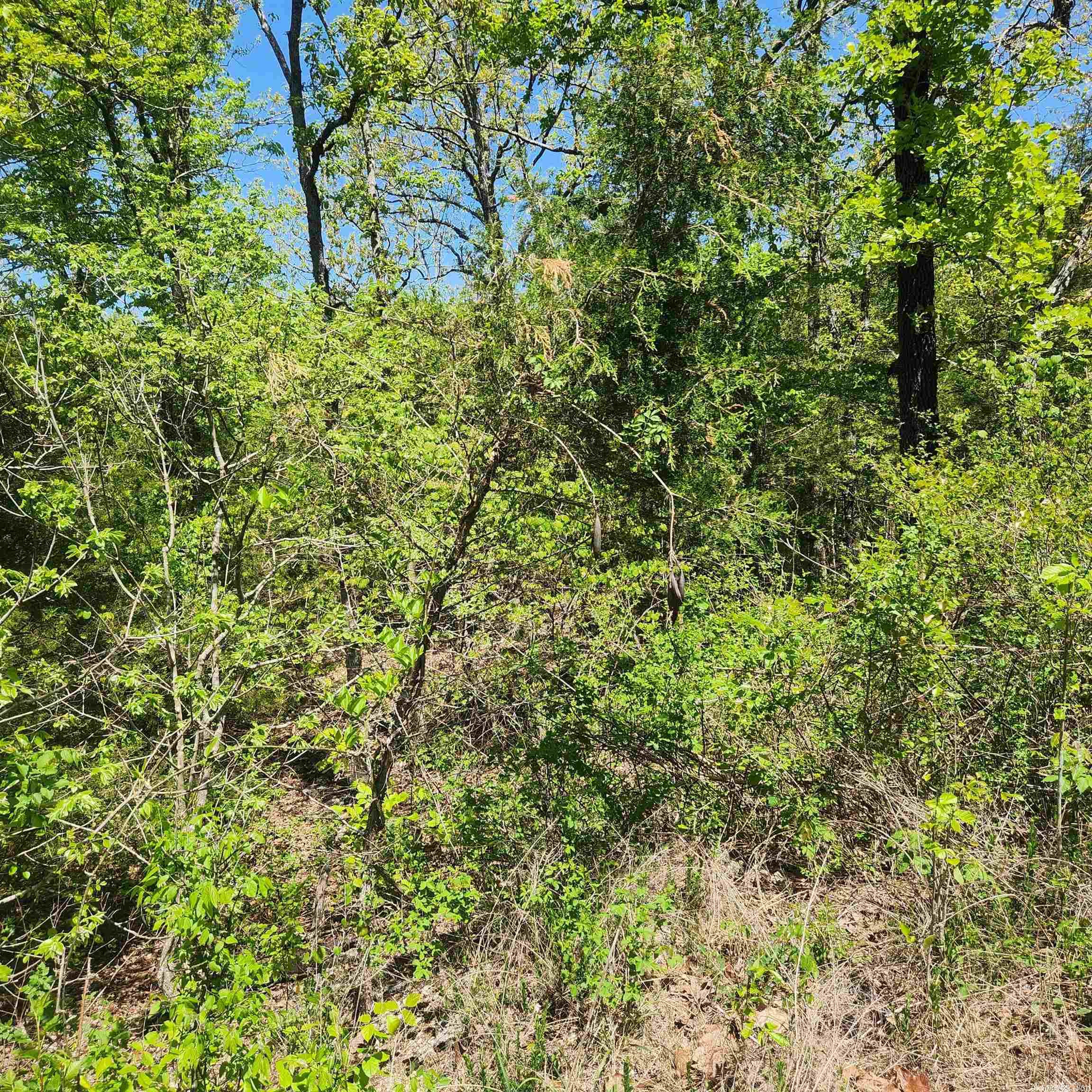 L-9 B-2 Minnetree  Cherokee Village, AR