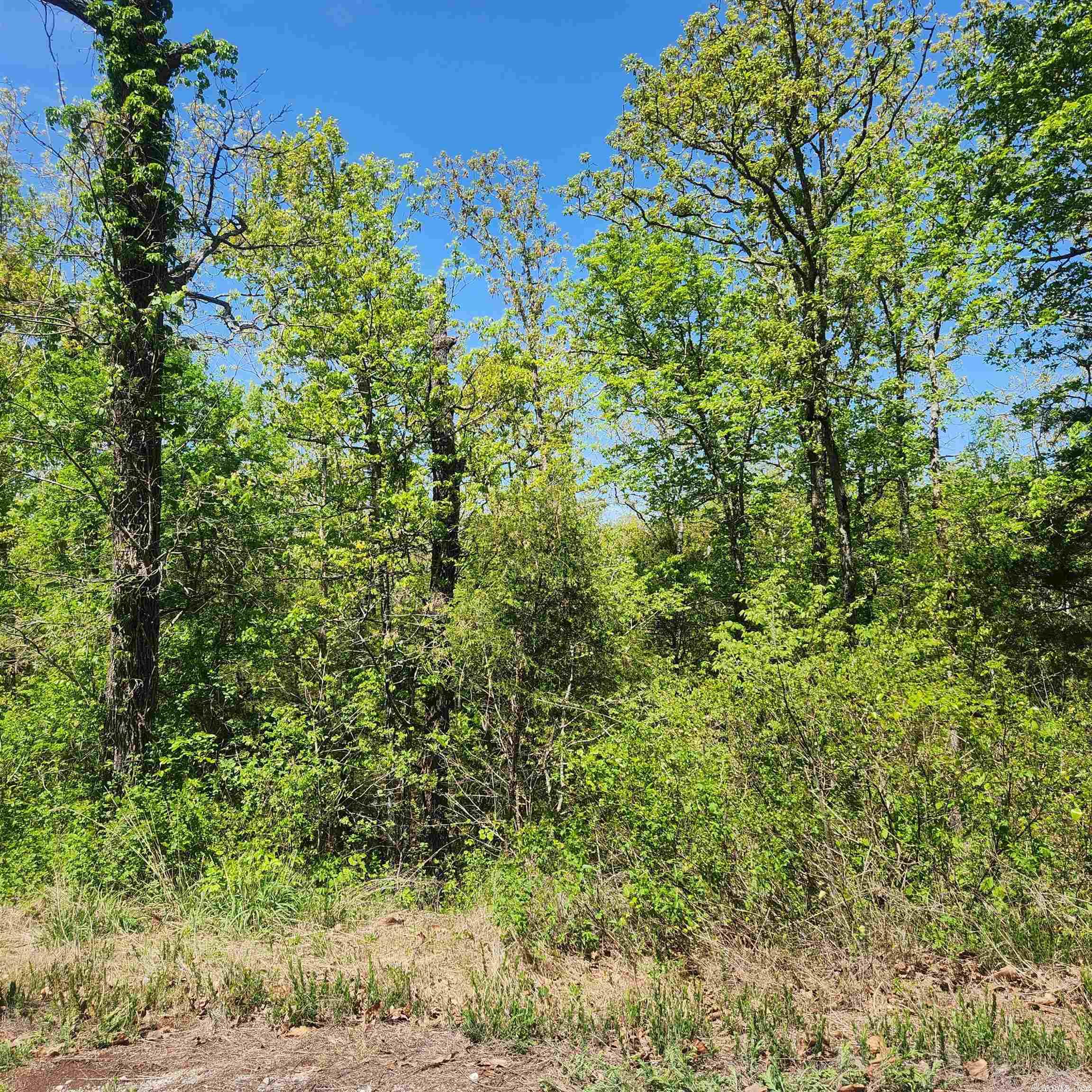 L-9 B-2 Minnetree  Cherokee Village, AR