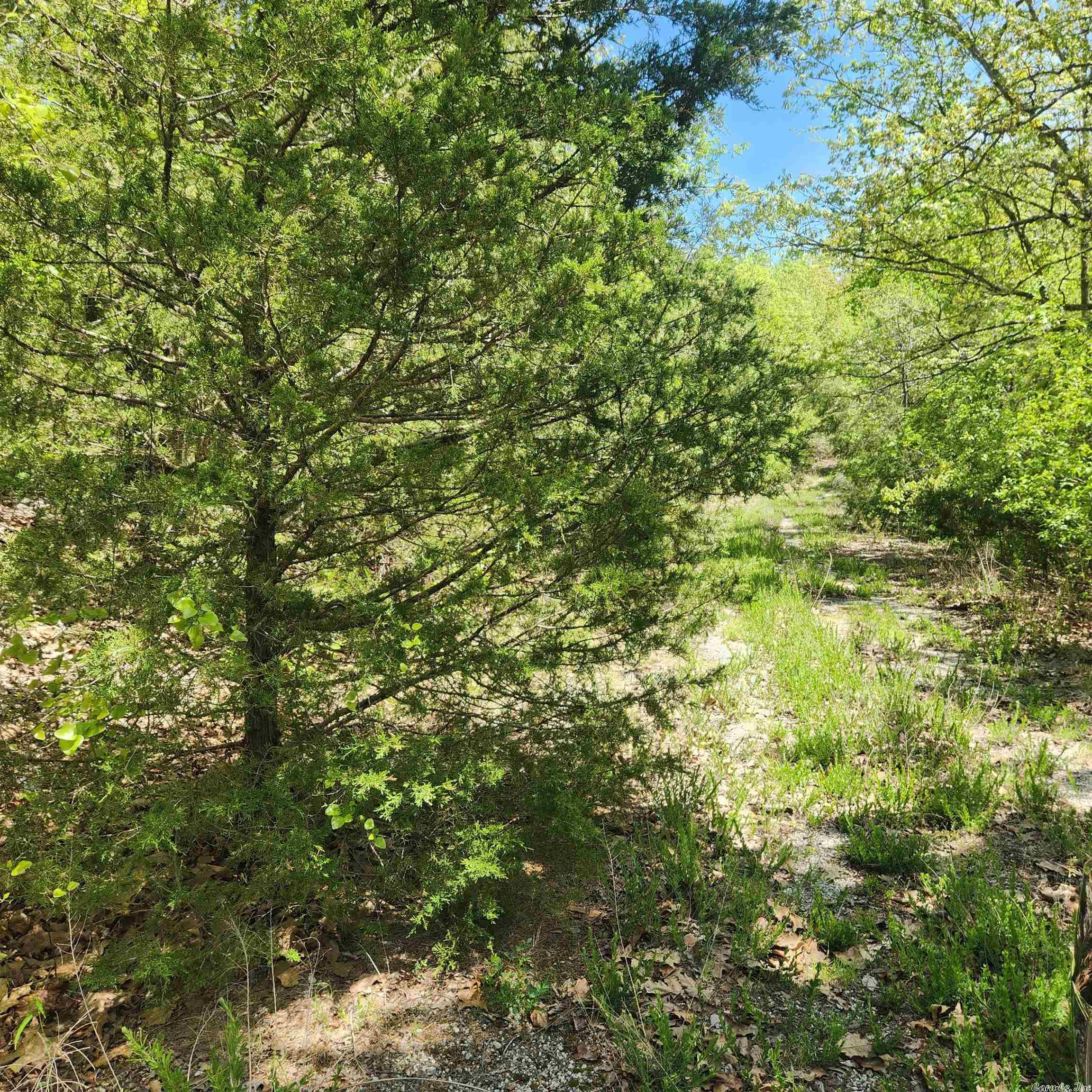 L-61 B-1 Kayenta  Cherokee Village, AR