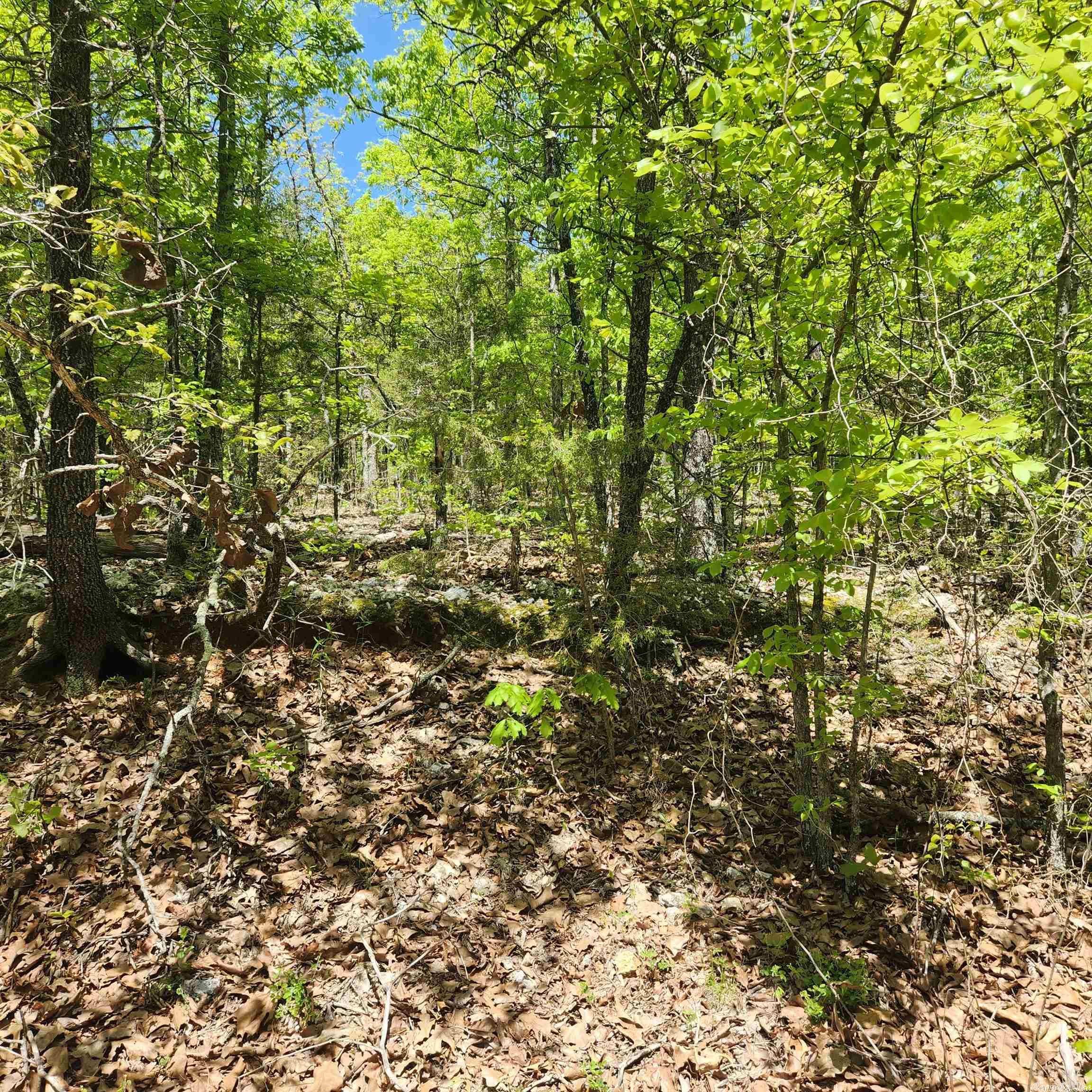 L-61 B-1 Kayenta  Cherokee Village, AR