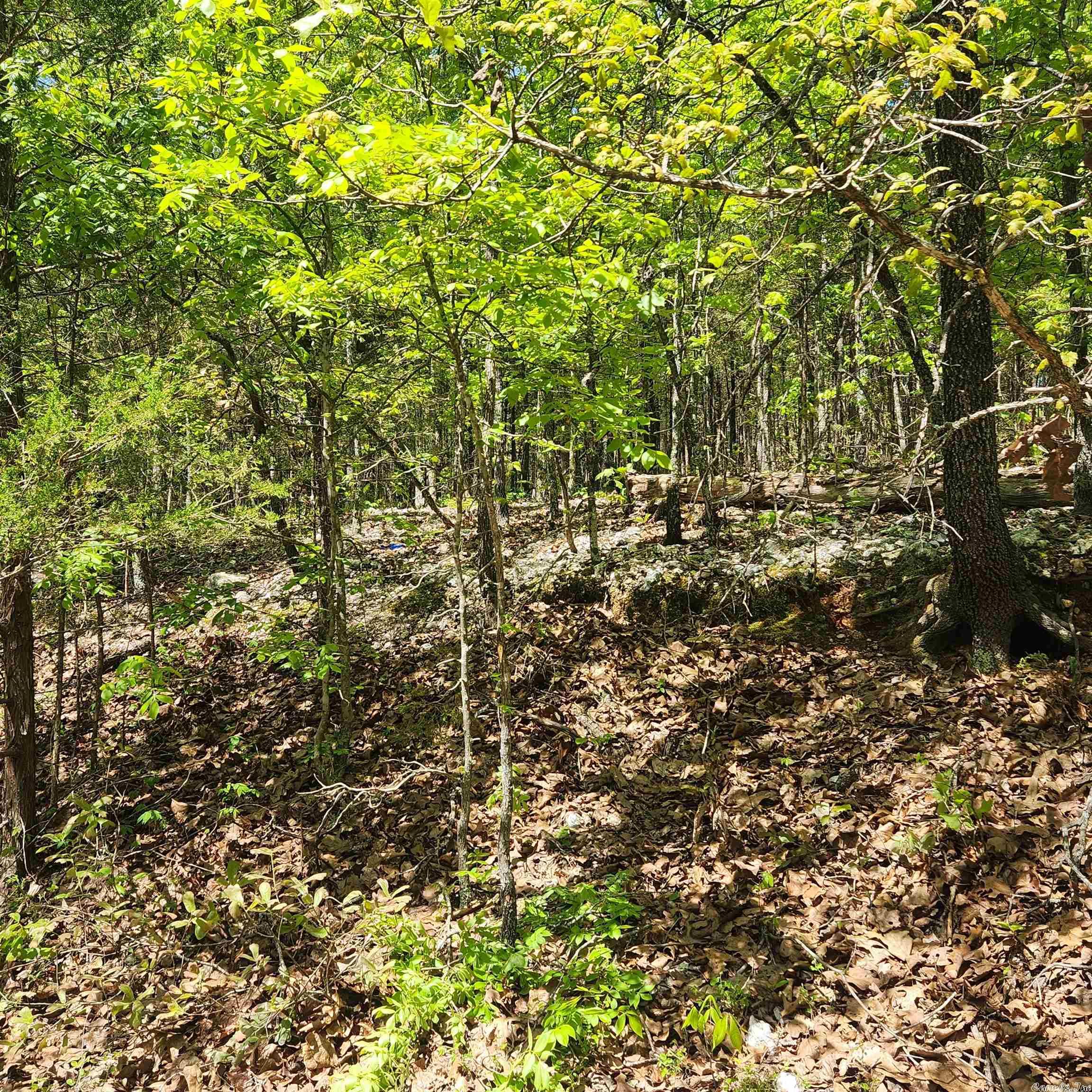 L-61 B-1 Kayenta  Cherokee Village, AR