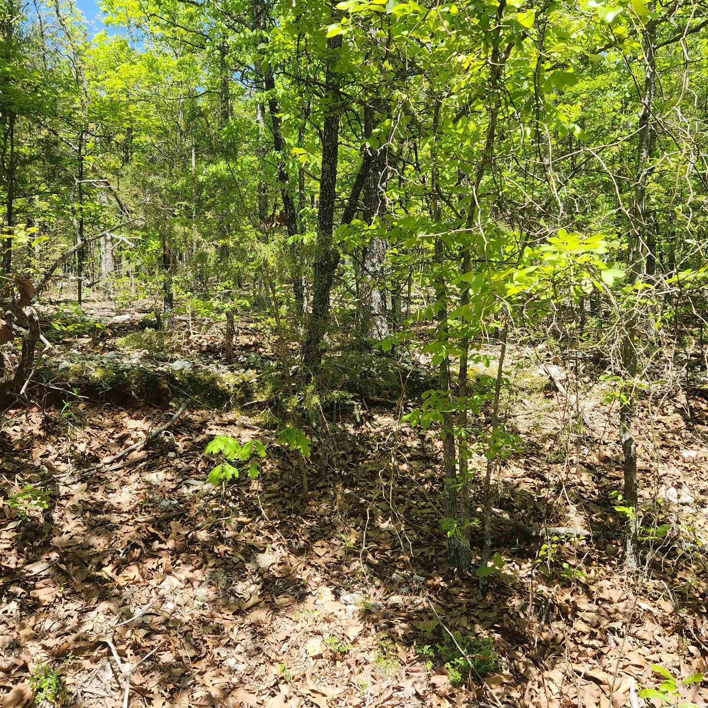 L-61 B-1 Kayenta  Cherokee Village, AR