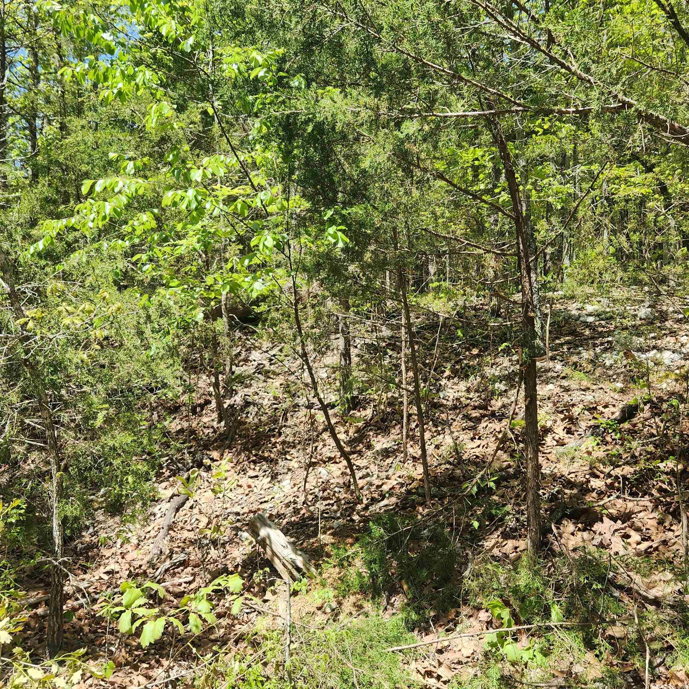 L-64 B-1 Kayenta  Cherokee Village, AR