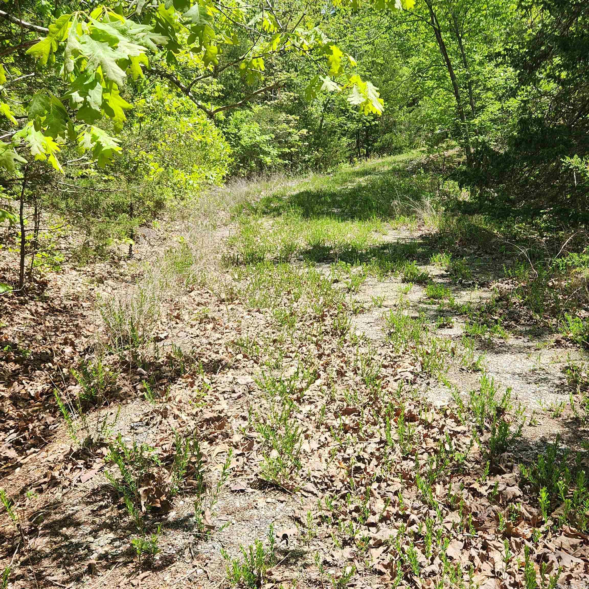 L-64 B-1 Kayenta  Cherokee Village, AR