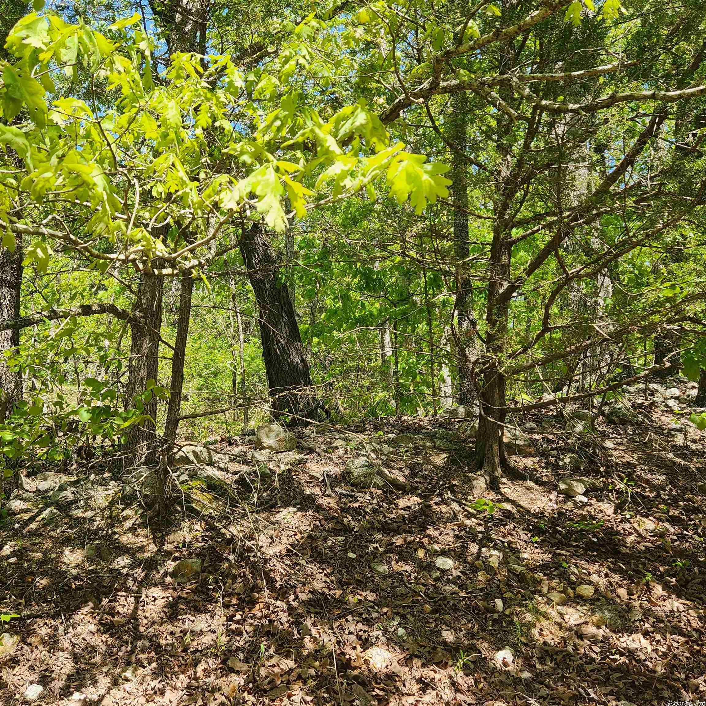 L-64 B-1 Kayenta  Cherokee Village, AR